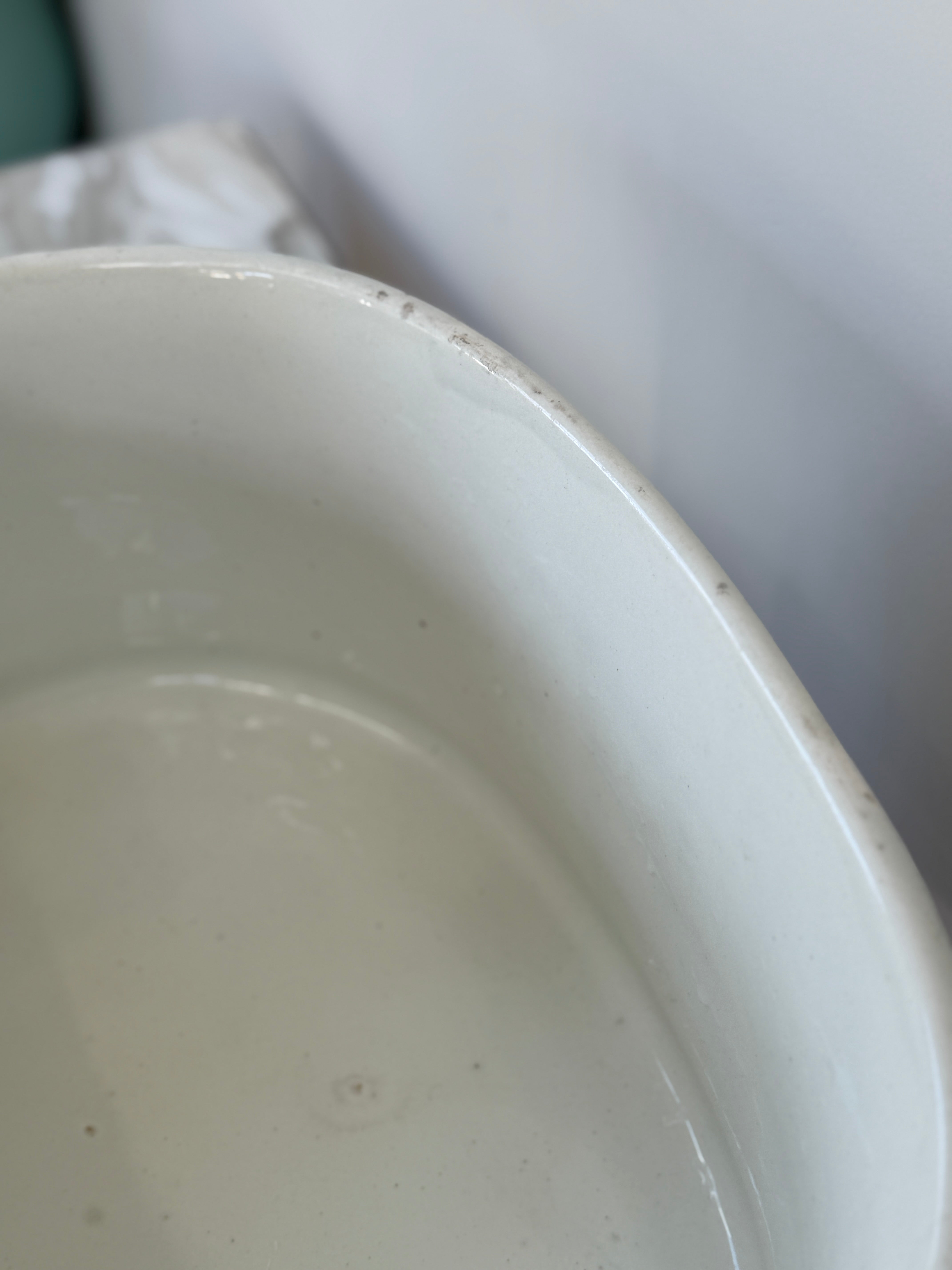 Medium Wedgwood White Banded Foot bath Planter