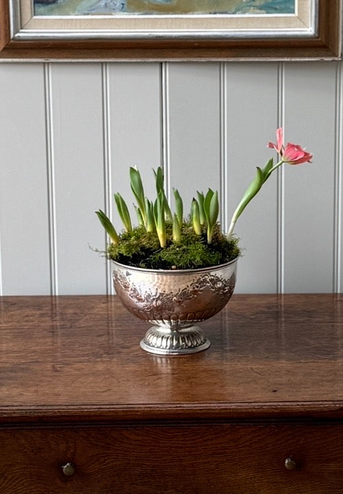 Small Decorative Silver Plate Pedestal bowl