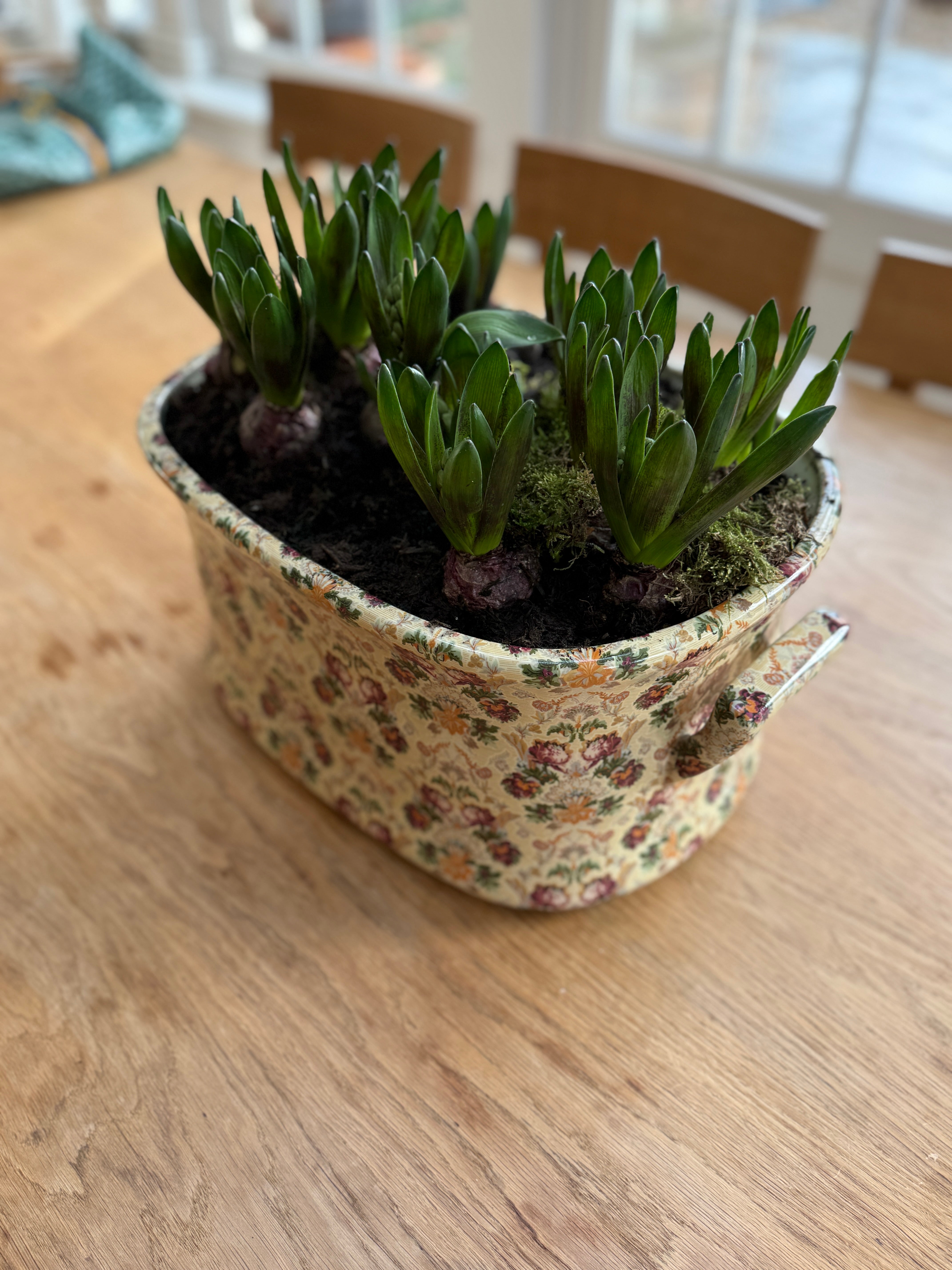 Polychrome Victorian Foot Bath