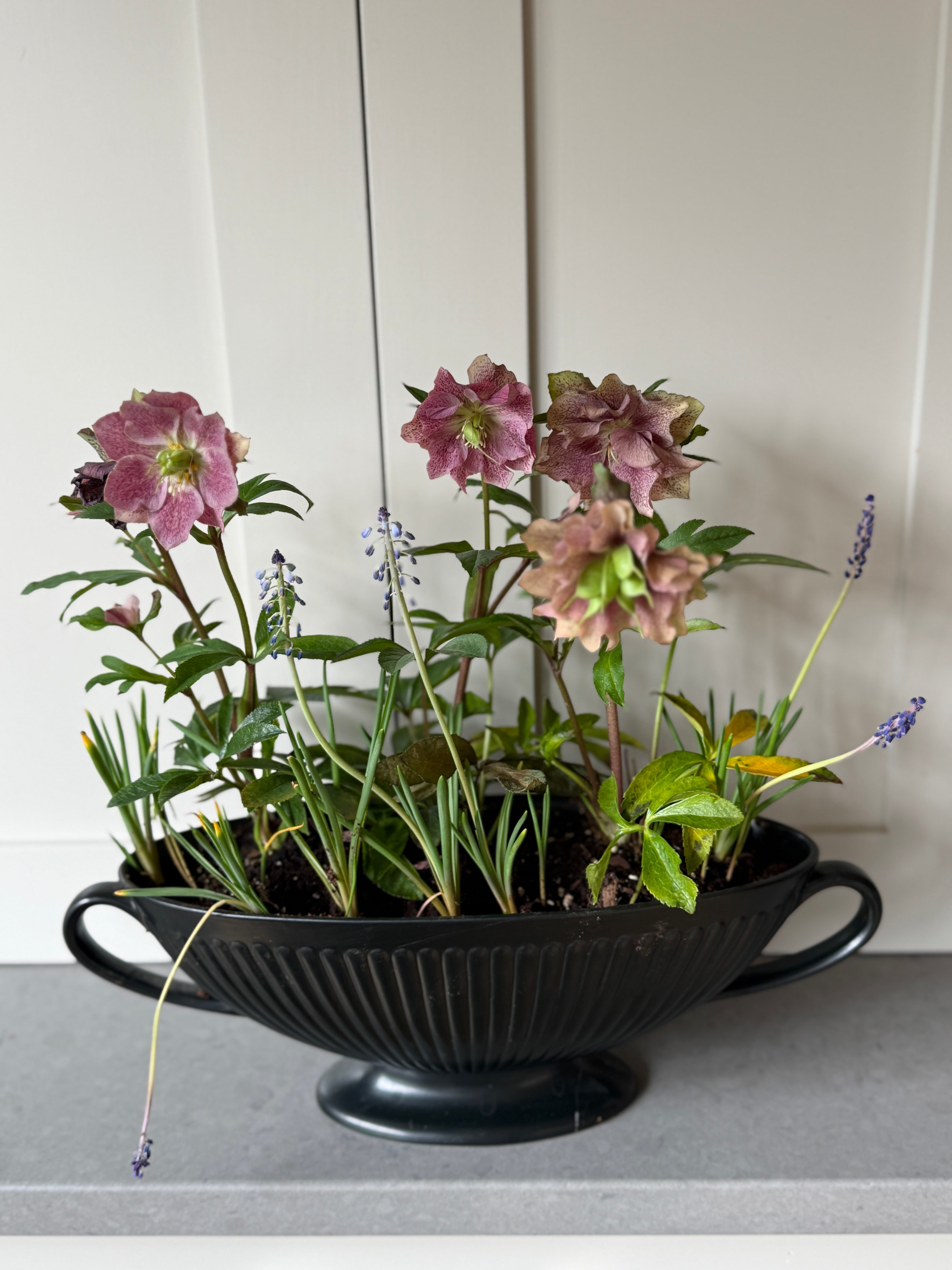 Large Wedgwood Ravenstone Mantel Vase with handles