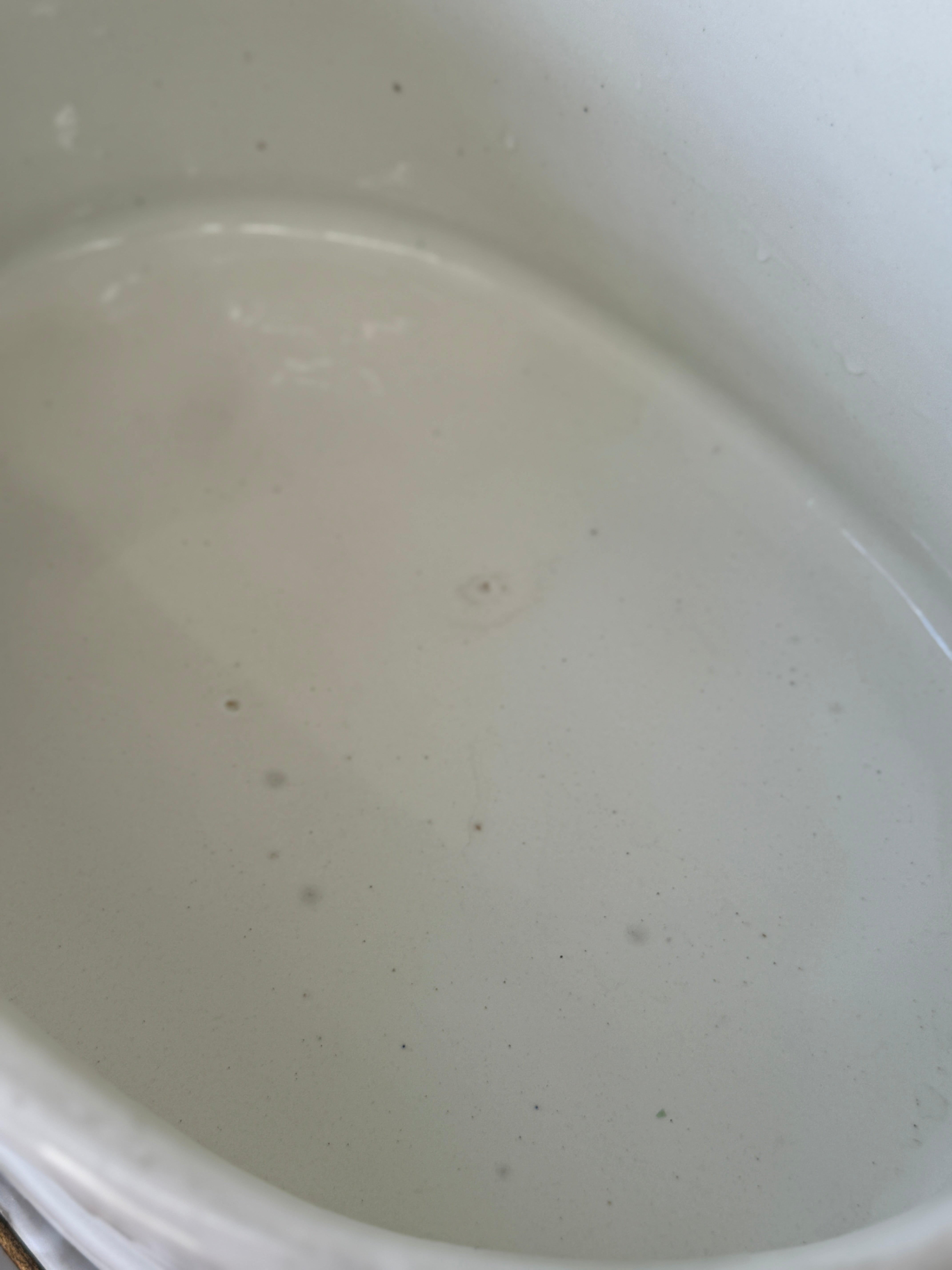 Medium Wedgwood White Banded Foot bath Planter