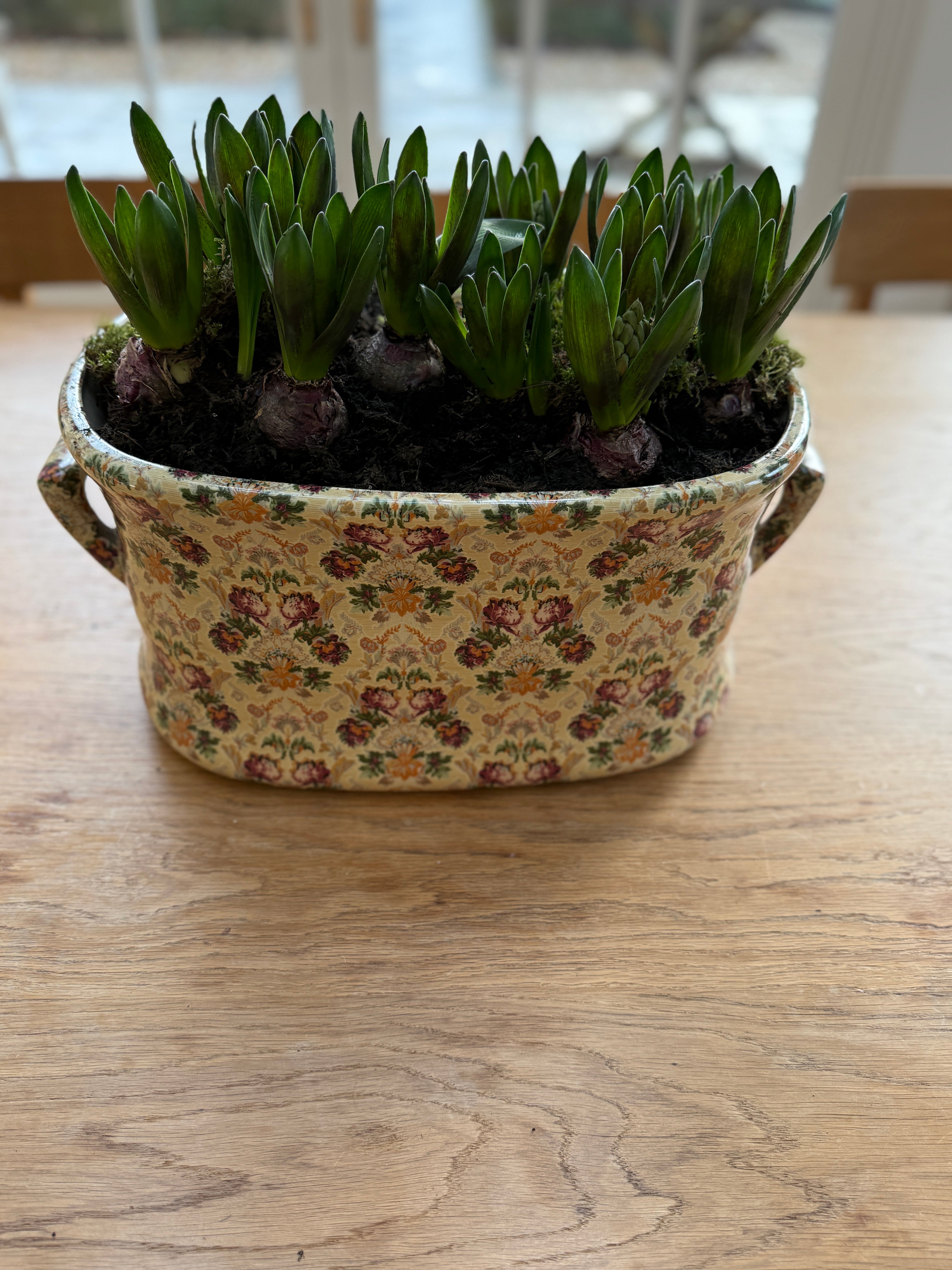 Polychrome Victorian Foot Bath