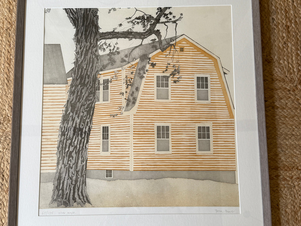 Silver Maple — Tessa Beaver Framed