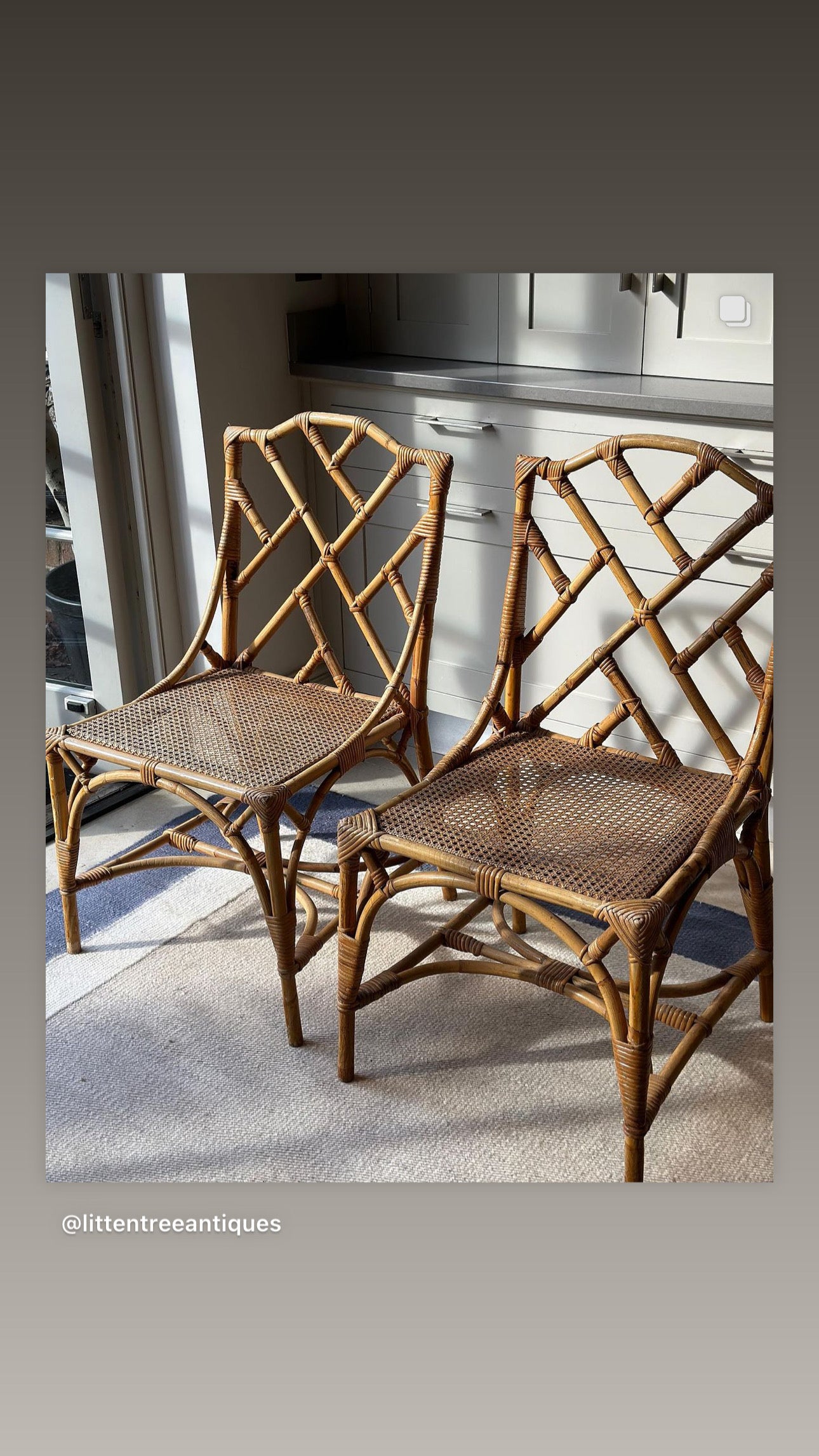 Pair Chippendale Style Cane Chairs