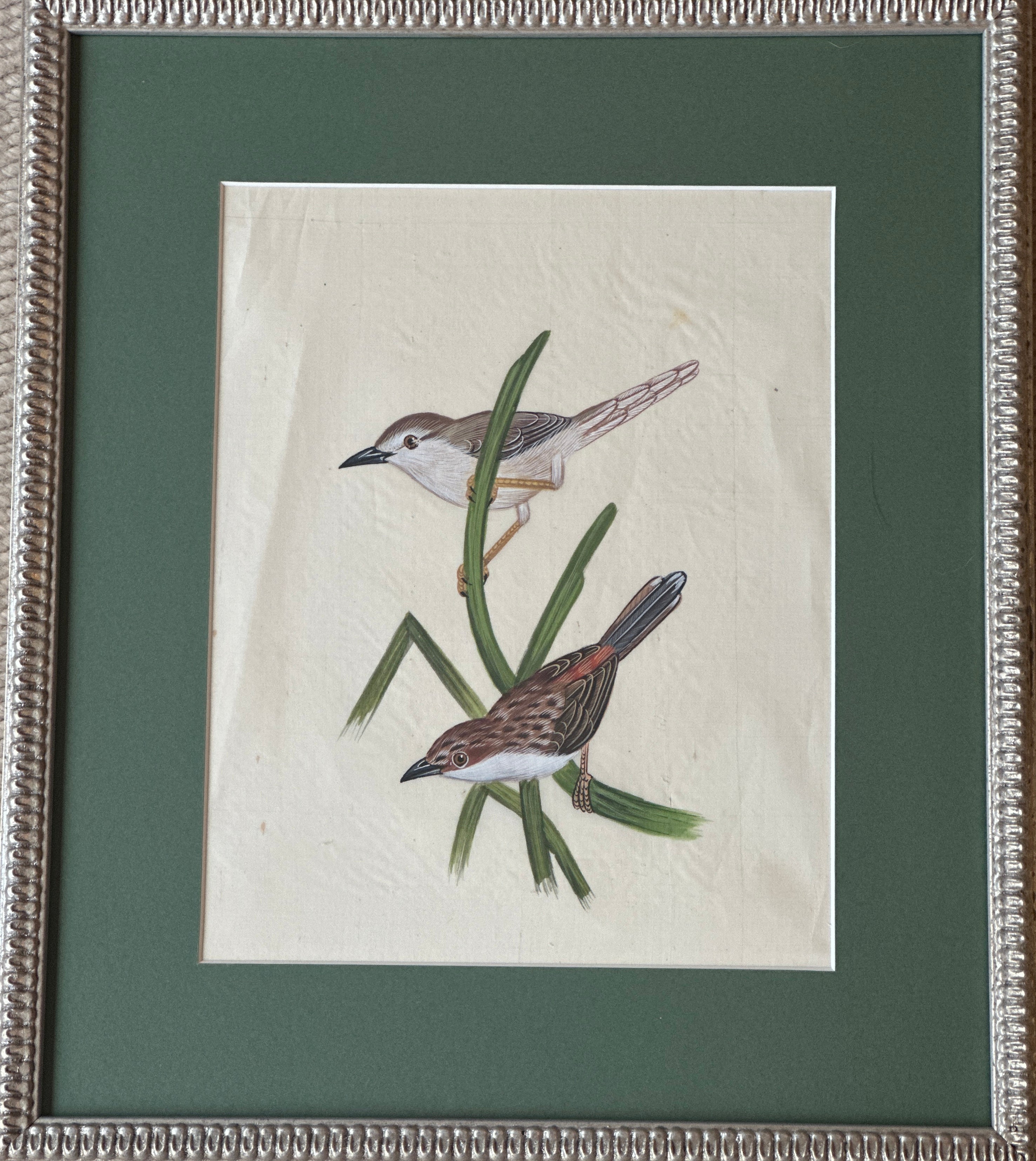Framed Hand Painted on Silk - Indian Birds
