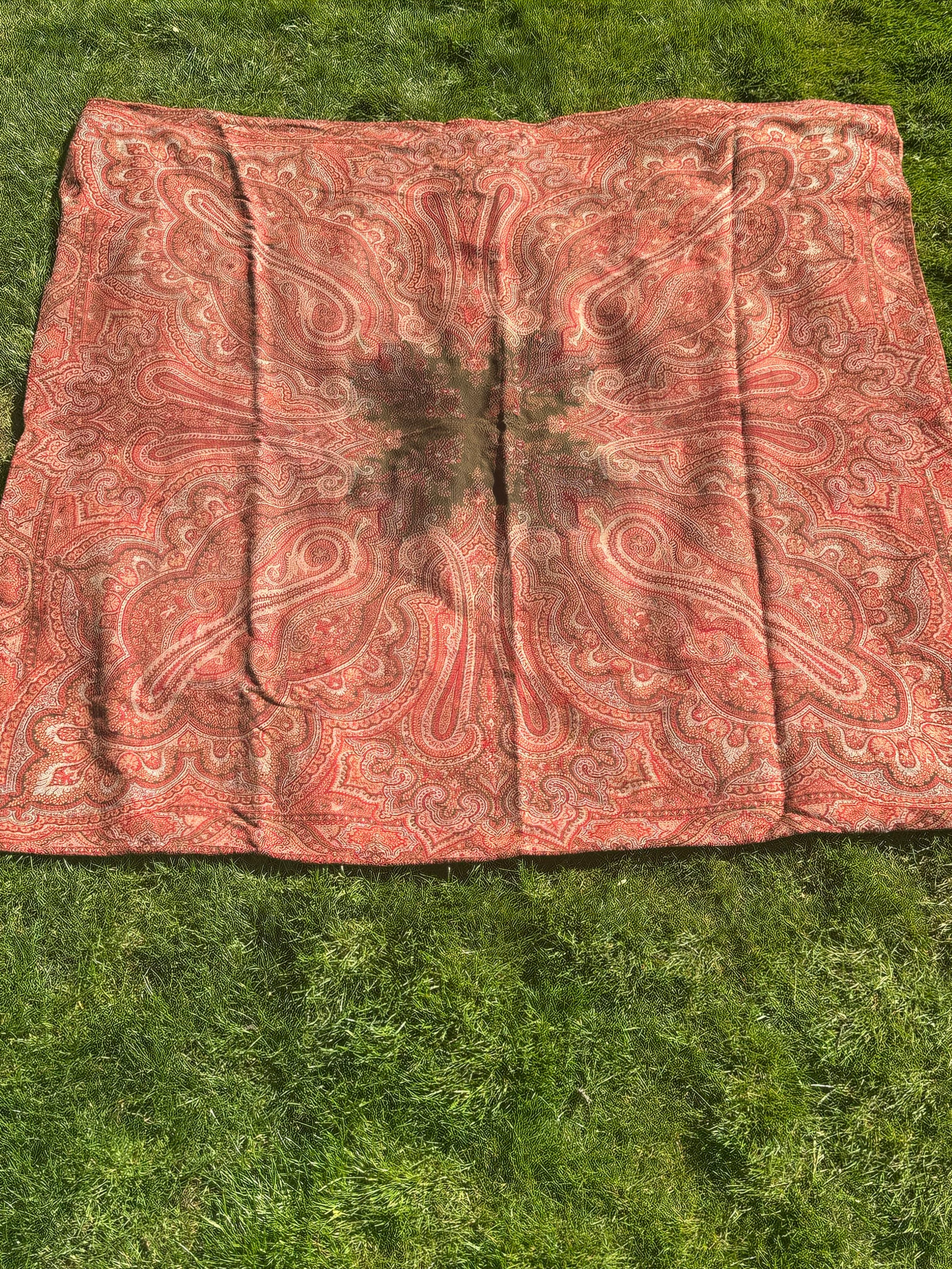 Antique Paisley Shawl Textile