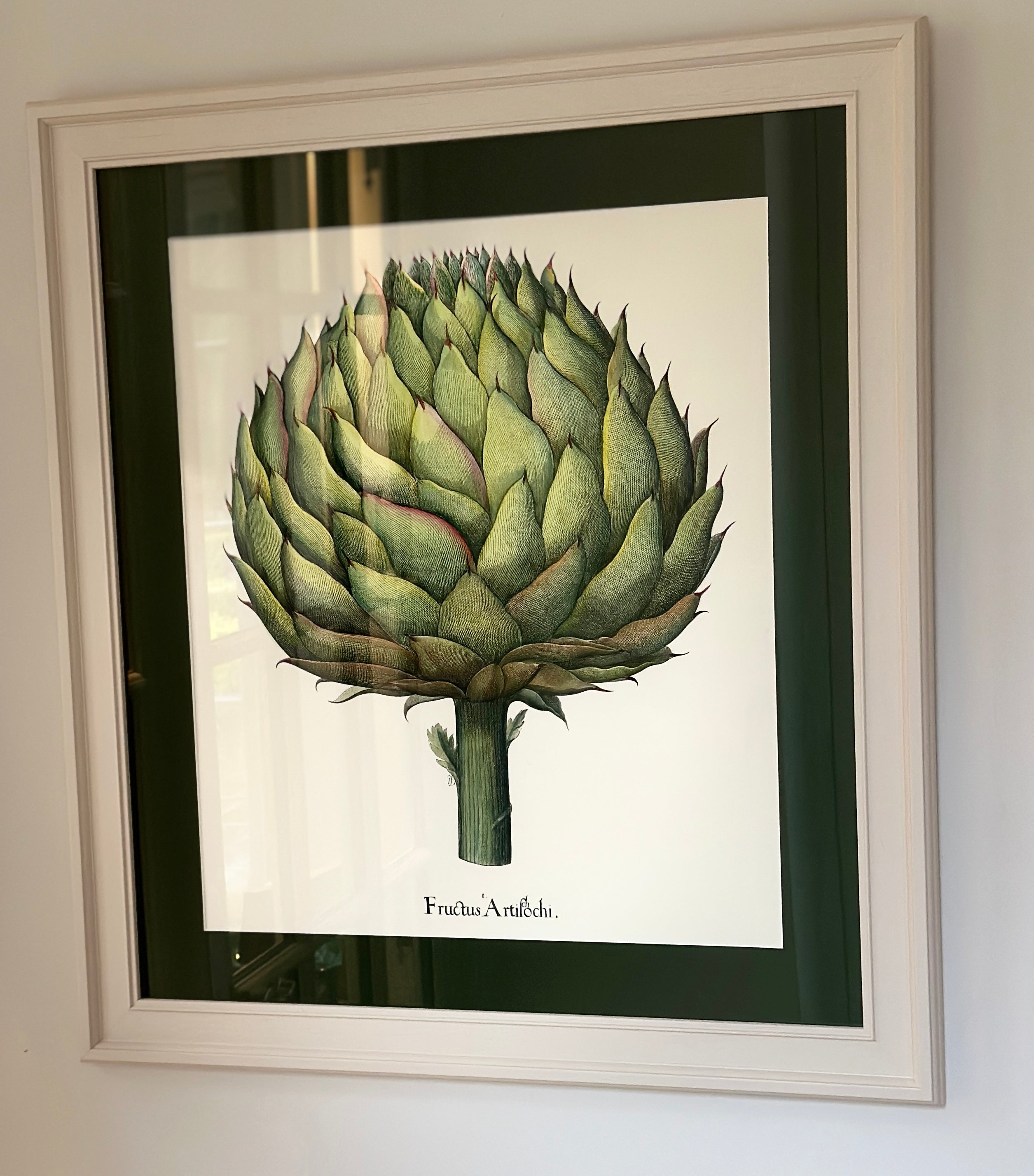 Large Framed Botanical Print of Beautiful Artichoke