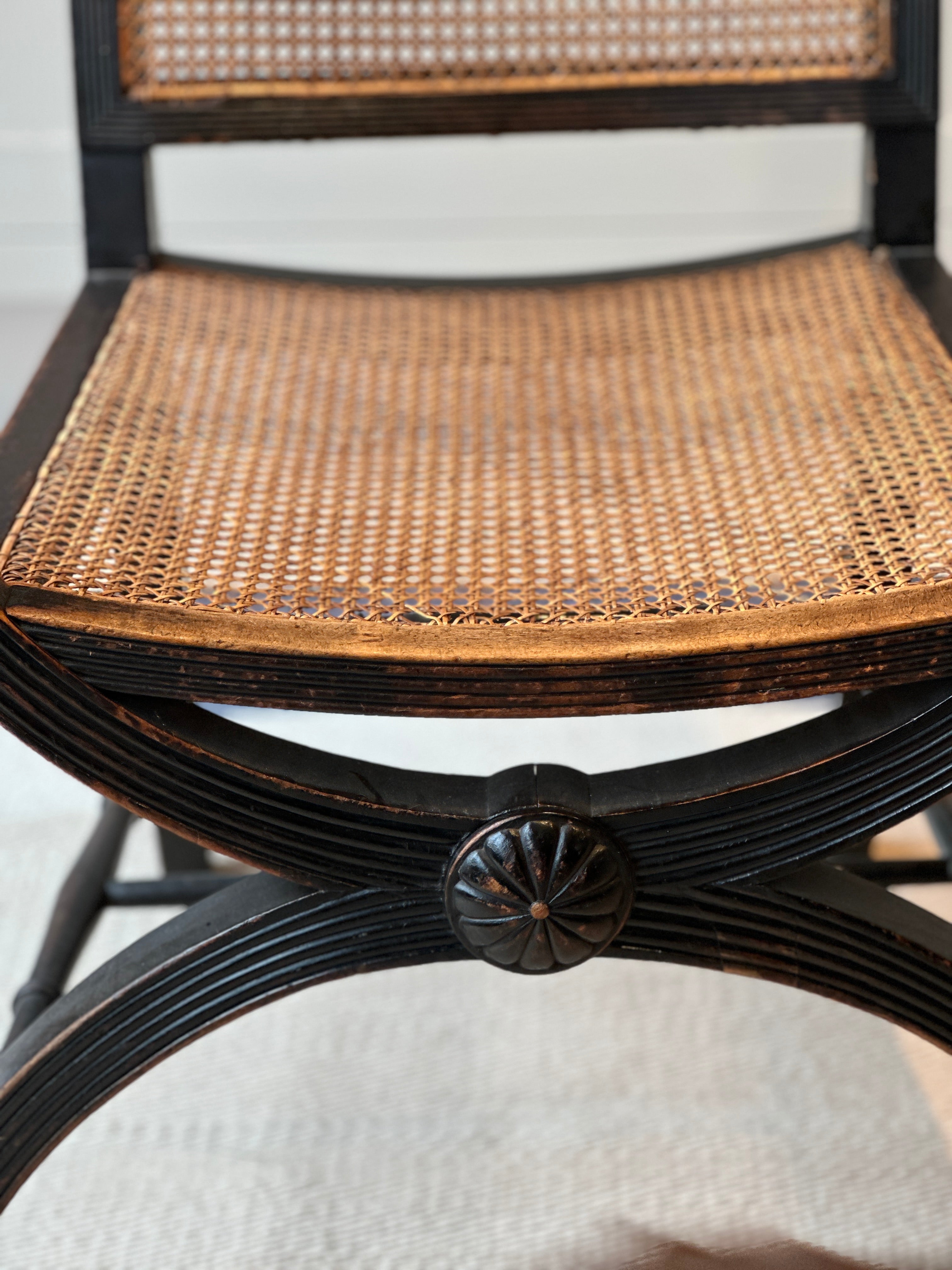 Fab Mahogany X-Frame Bergere Chair