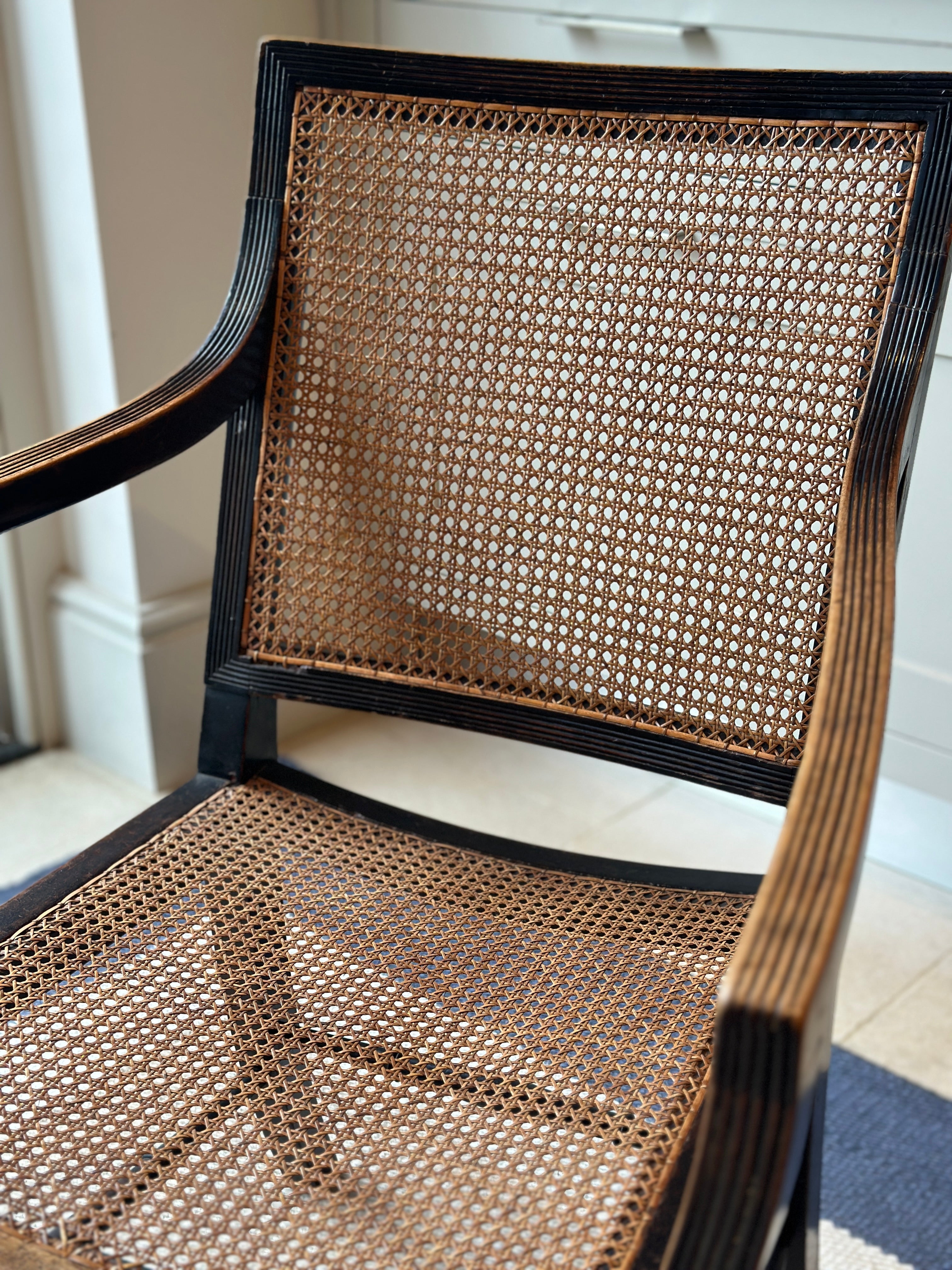 Fab Mahogany X-Frame Bergere Chair