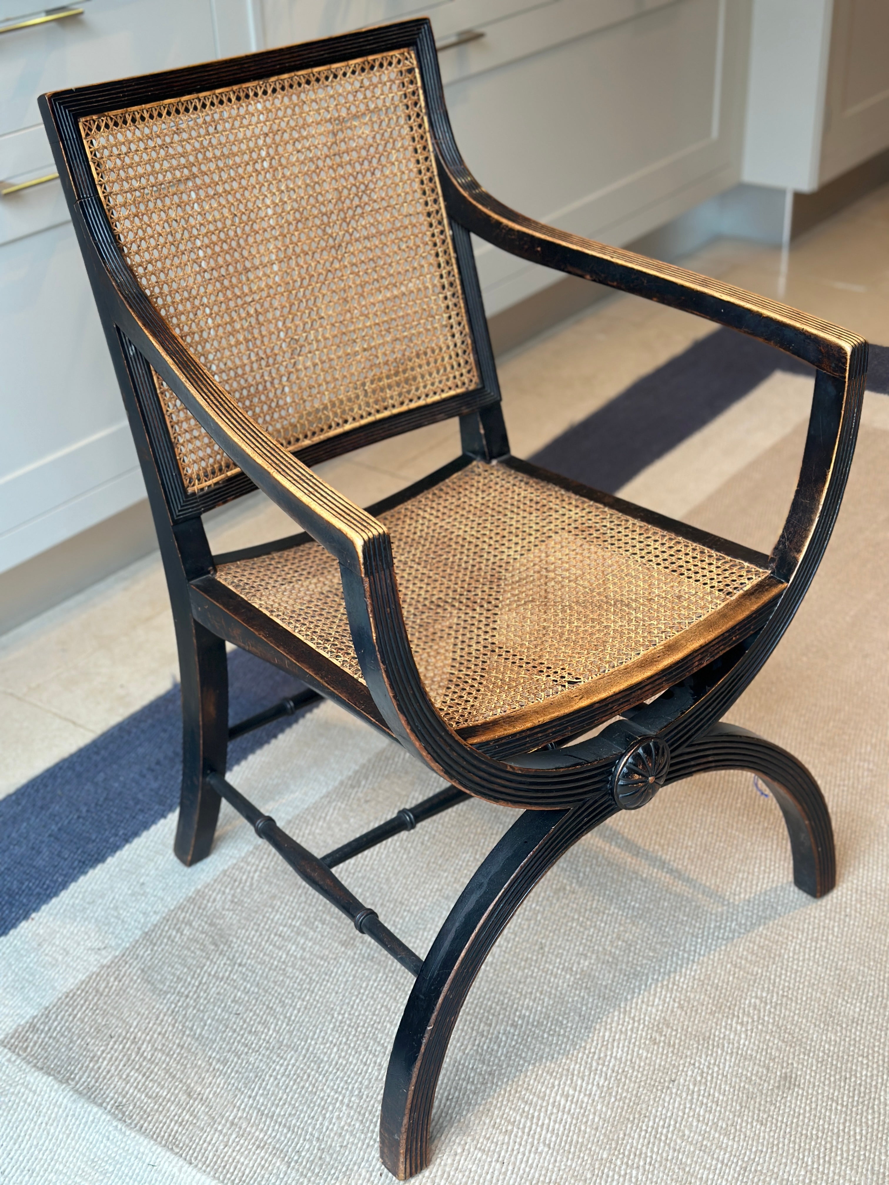 Fab Mahogany X-Frame Bergere Chair