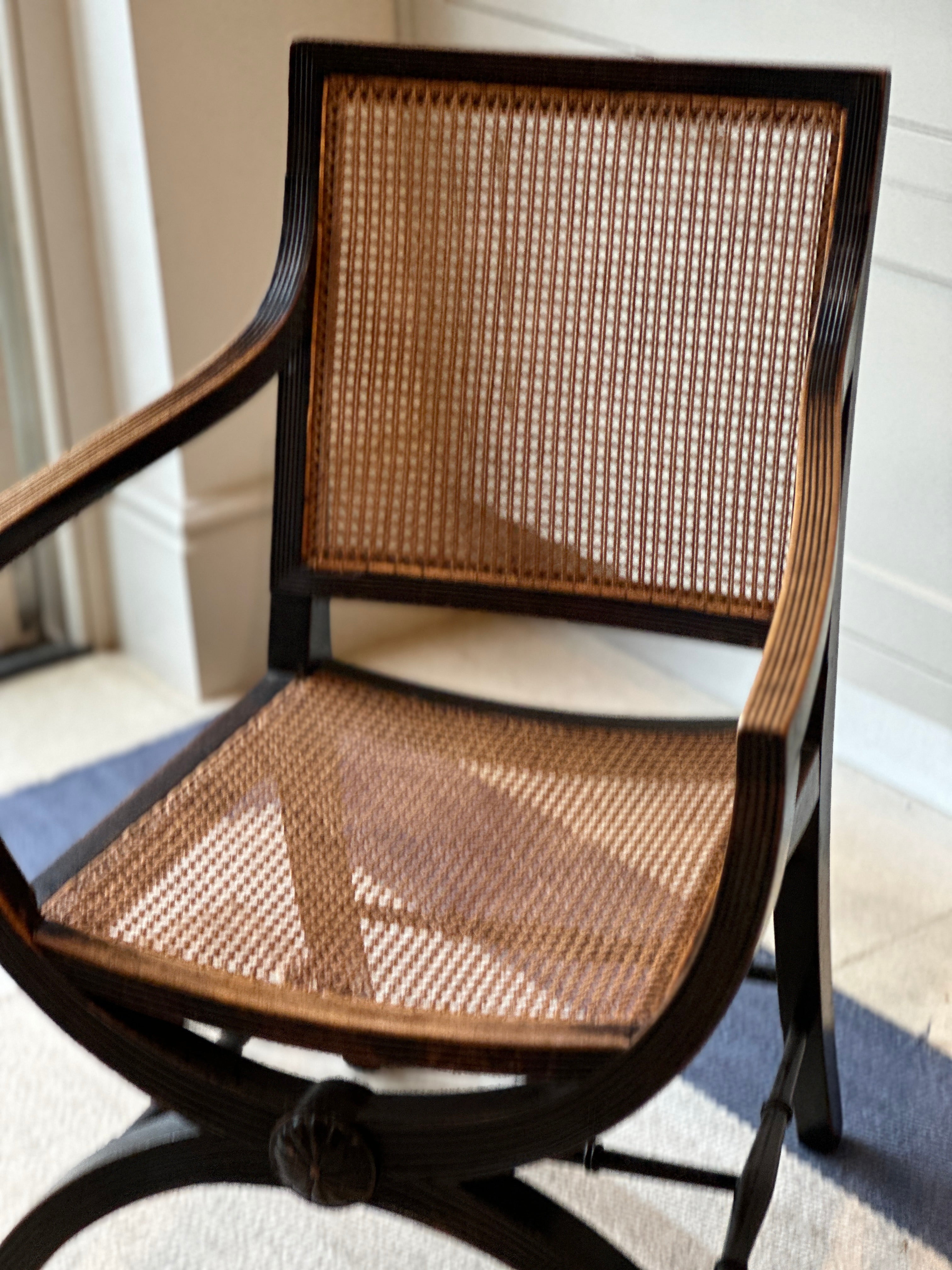 Fab Mahogany X-Frame Bergere Chair