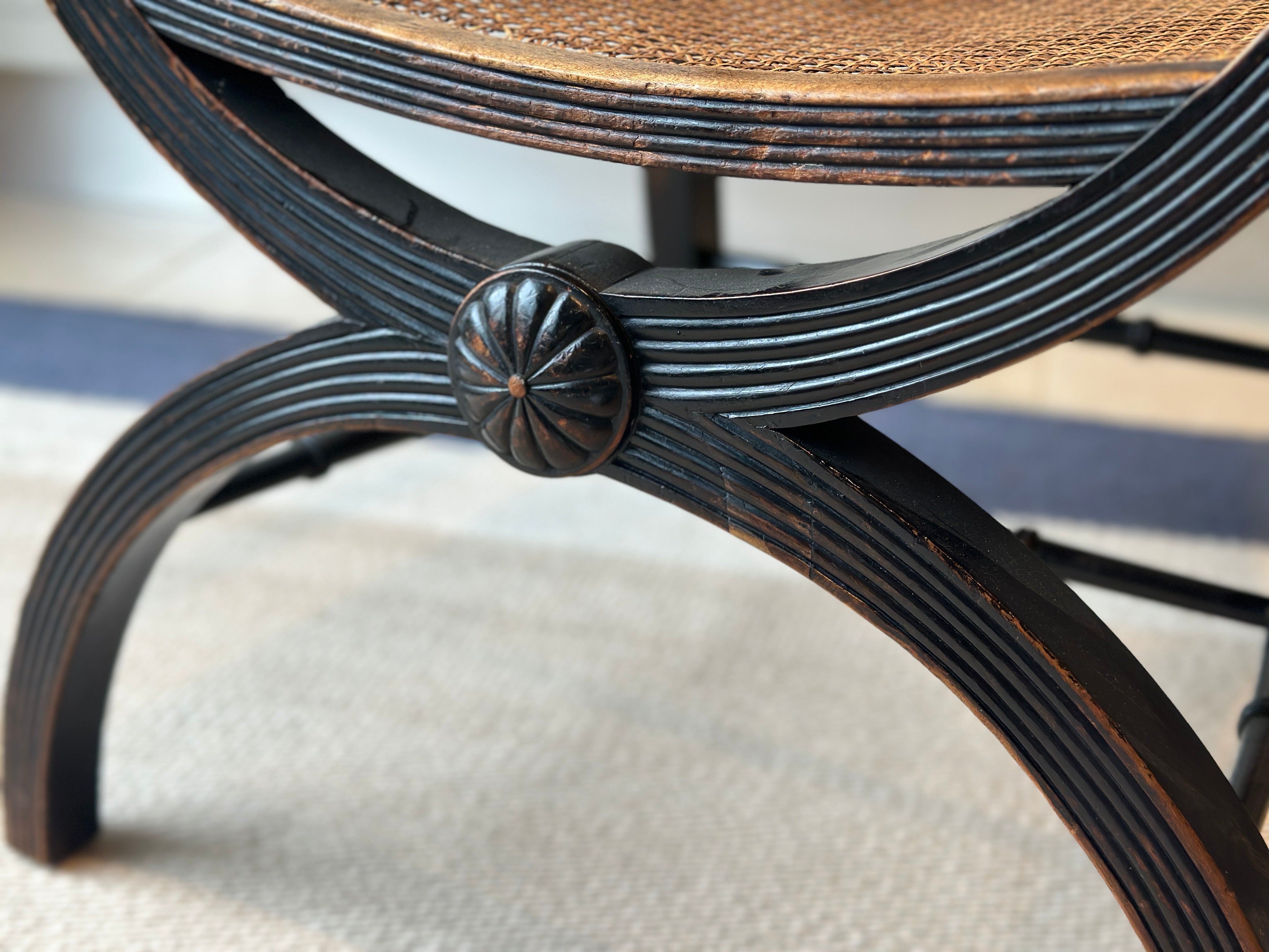 Fab Mahogany X-Frame Bergere Chair