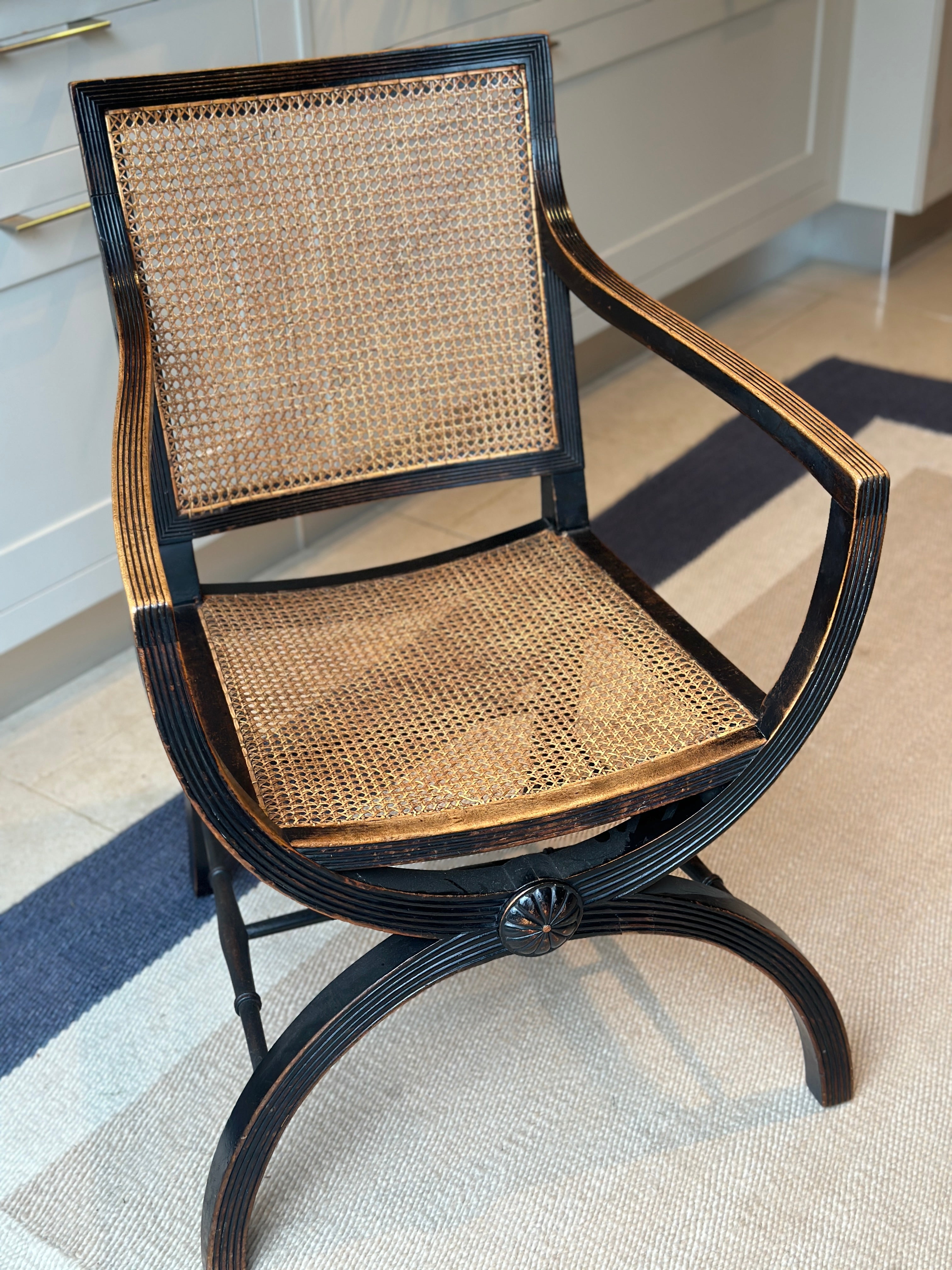 Fab Mahogany X-Frame Bergere Chair