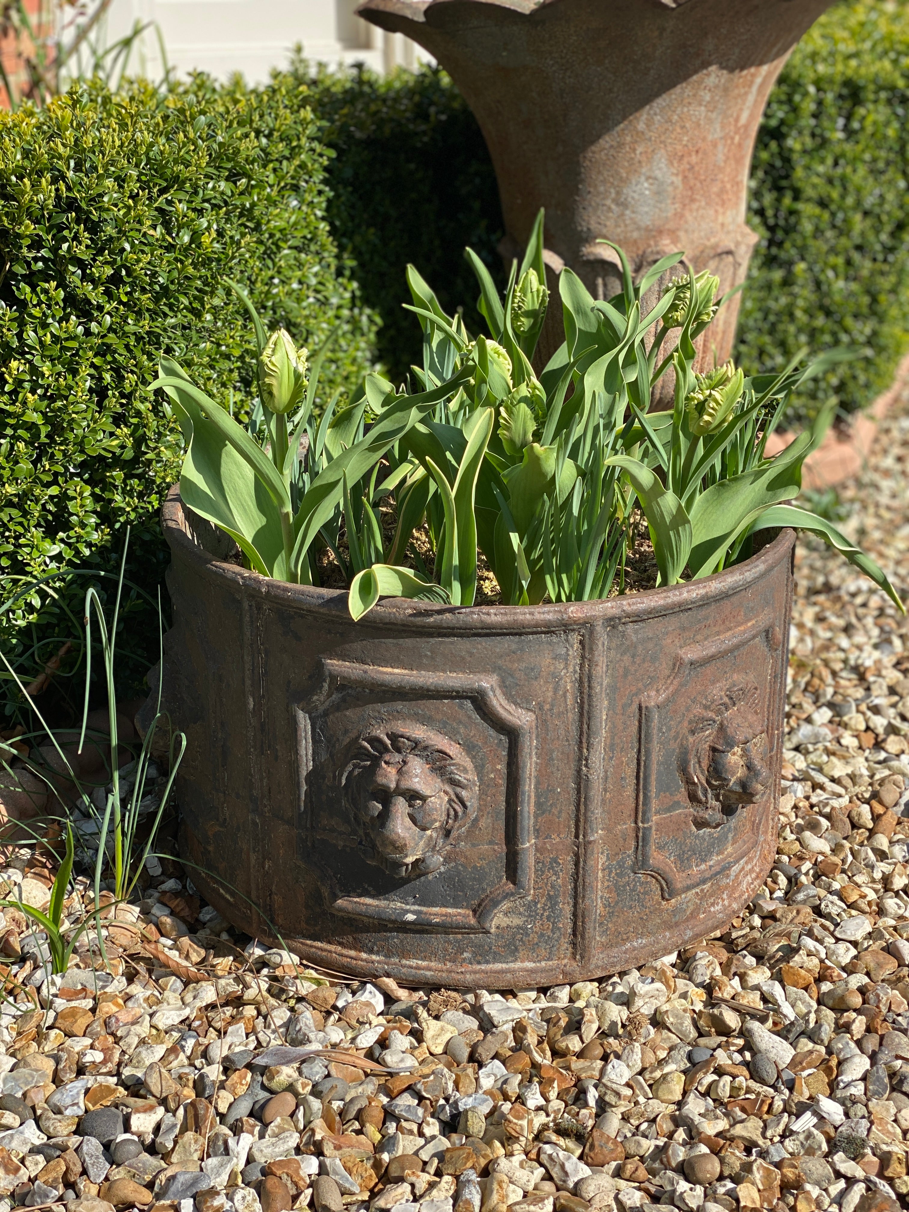 Heavy solid cast iron lion planter