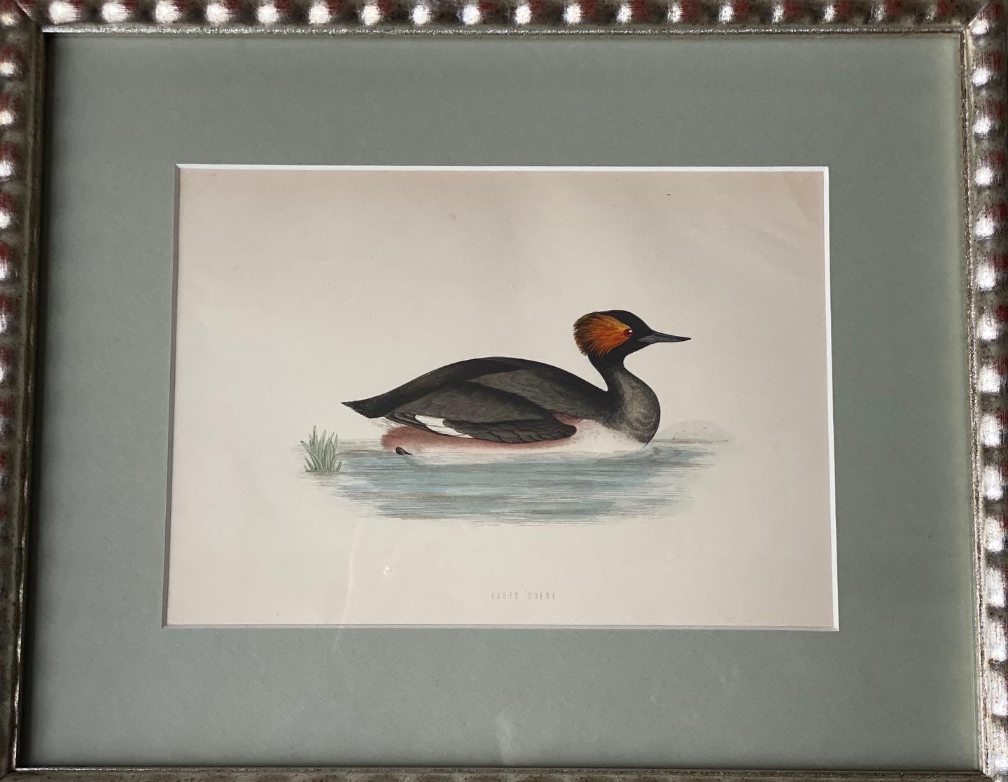Hand Painted Watercolours Birds in Bobbin Frames