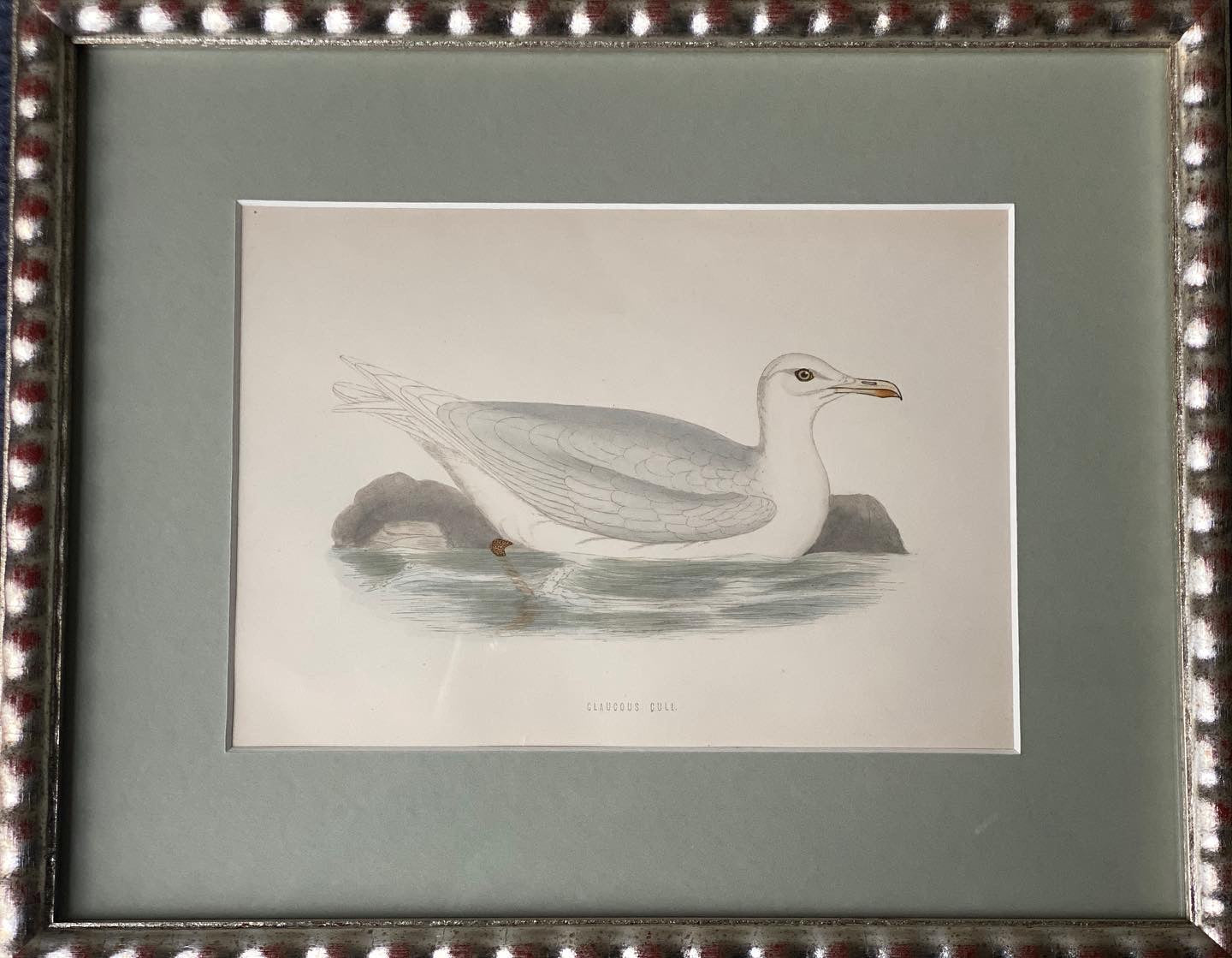 Hand Painted Watercolours Birds in Bobbin Frames