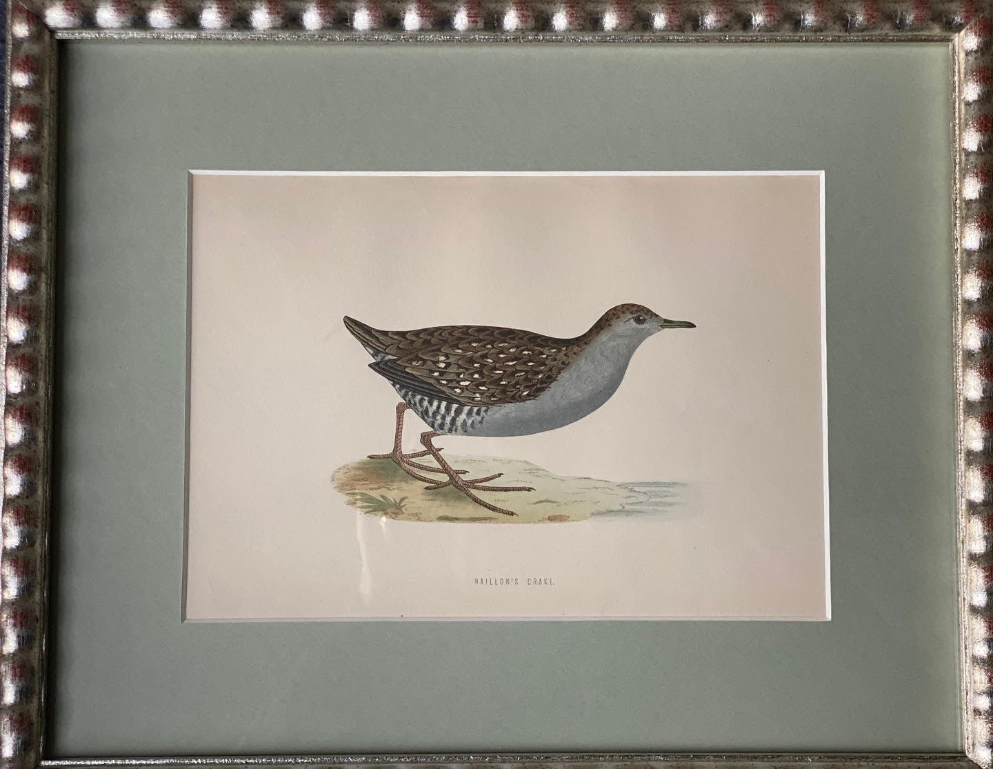 Hand Painted Watercolours Birds in Bobbin Frames