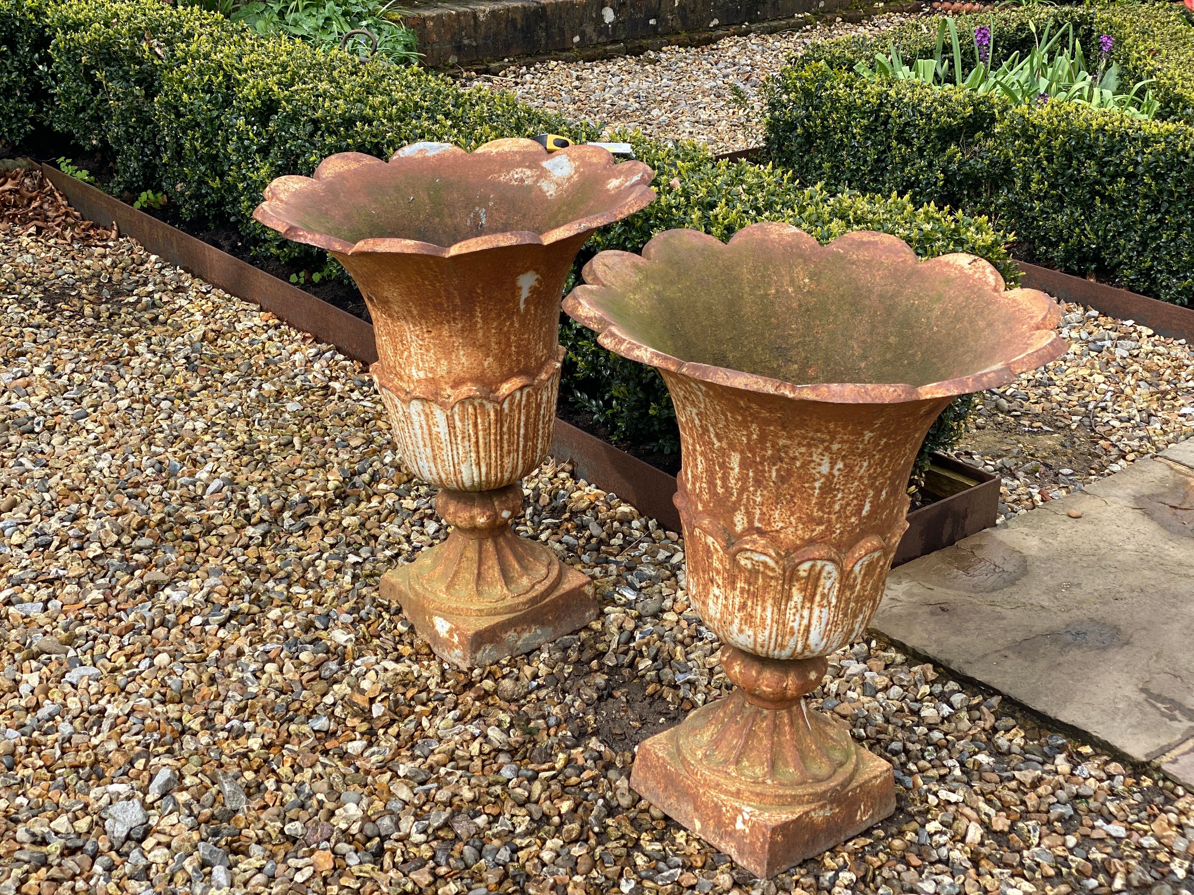 Late 19th/Early 20th Century Tulip Cast Iron Urns