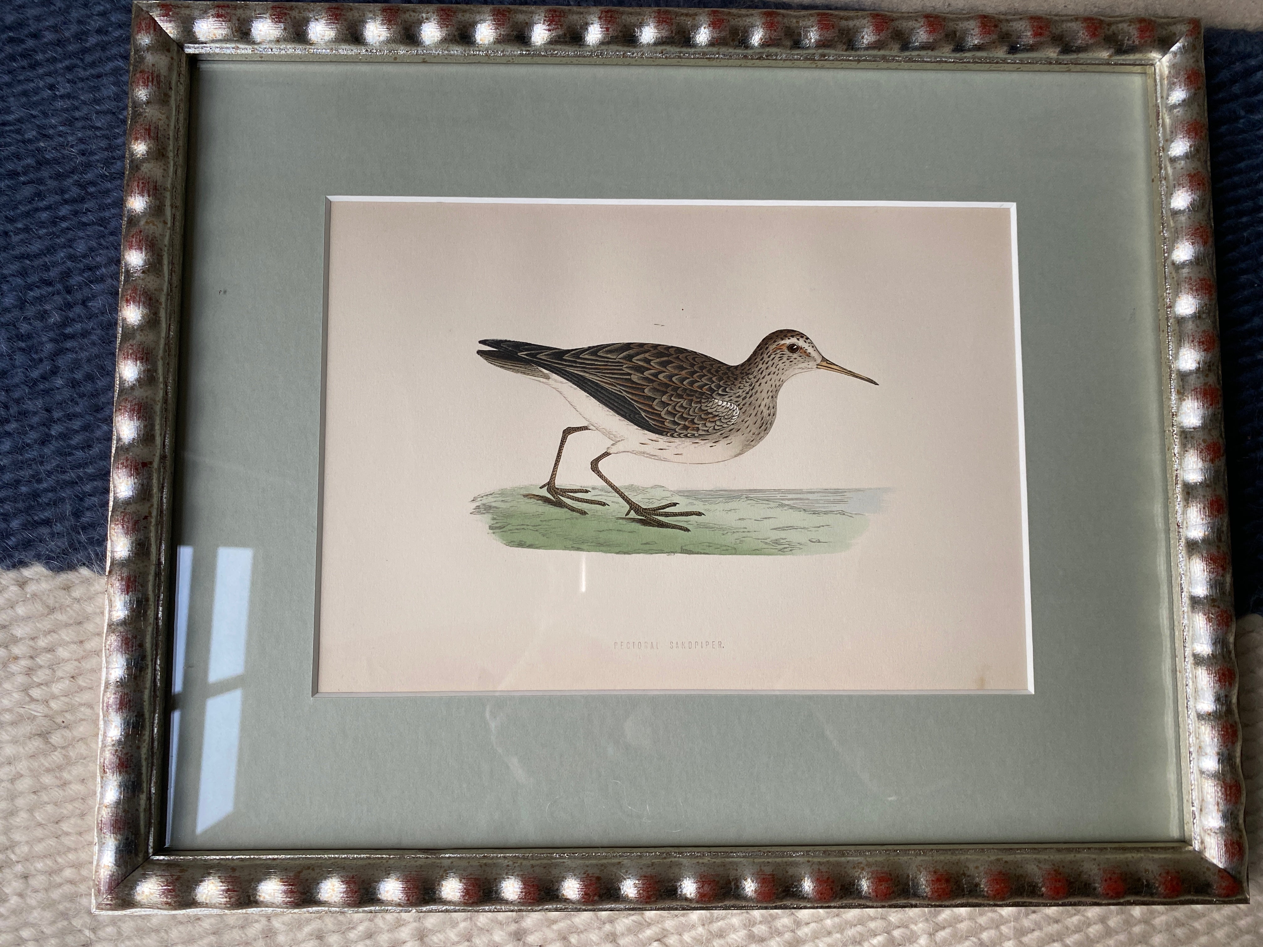 Hand Painted Watercolours Birds in Bobbin Frames