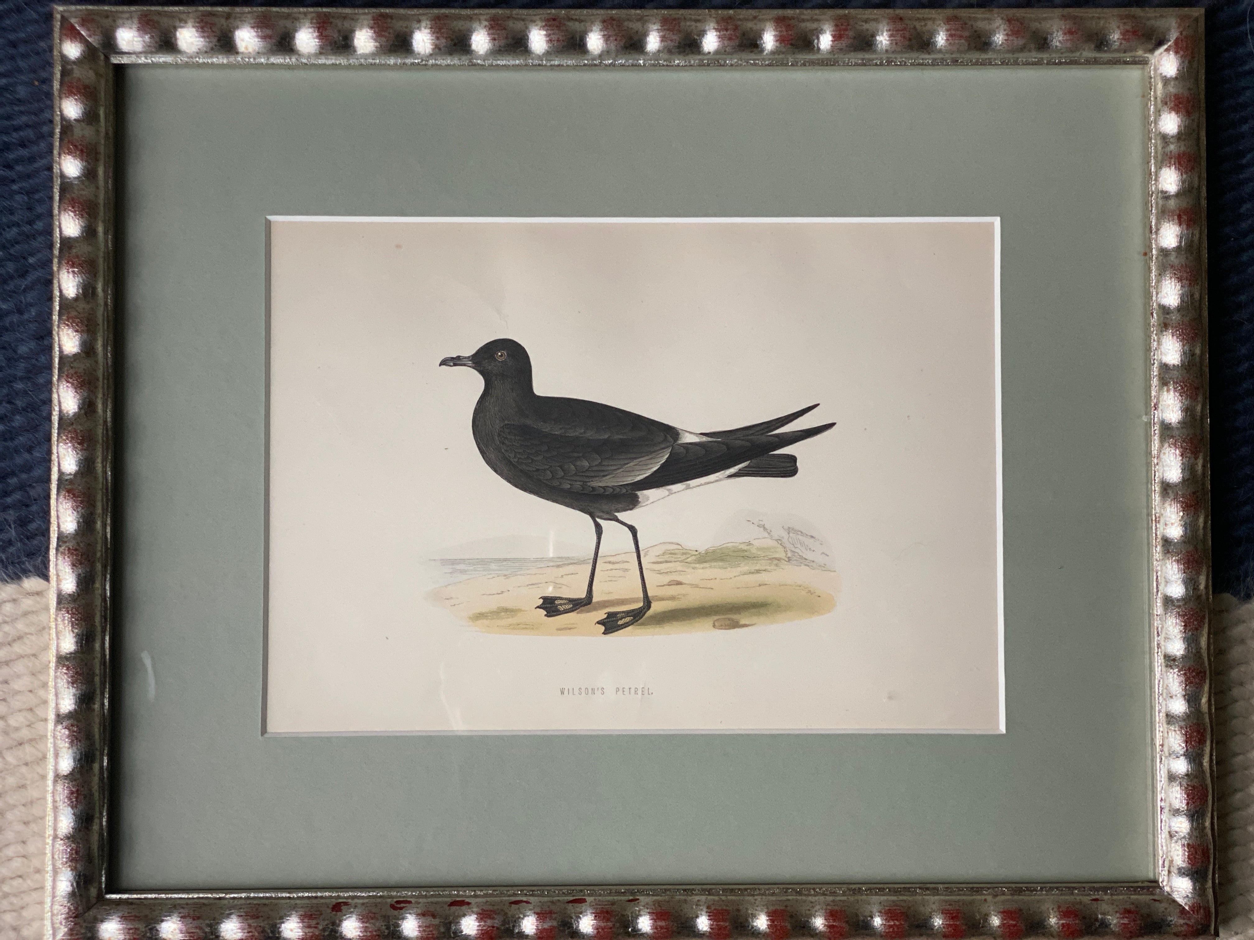 Hand Painted Watercolours Birds in Bobbin Frames