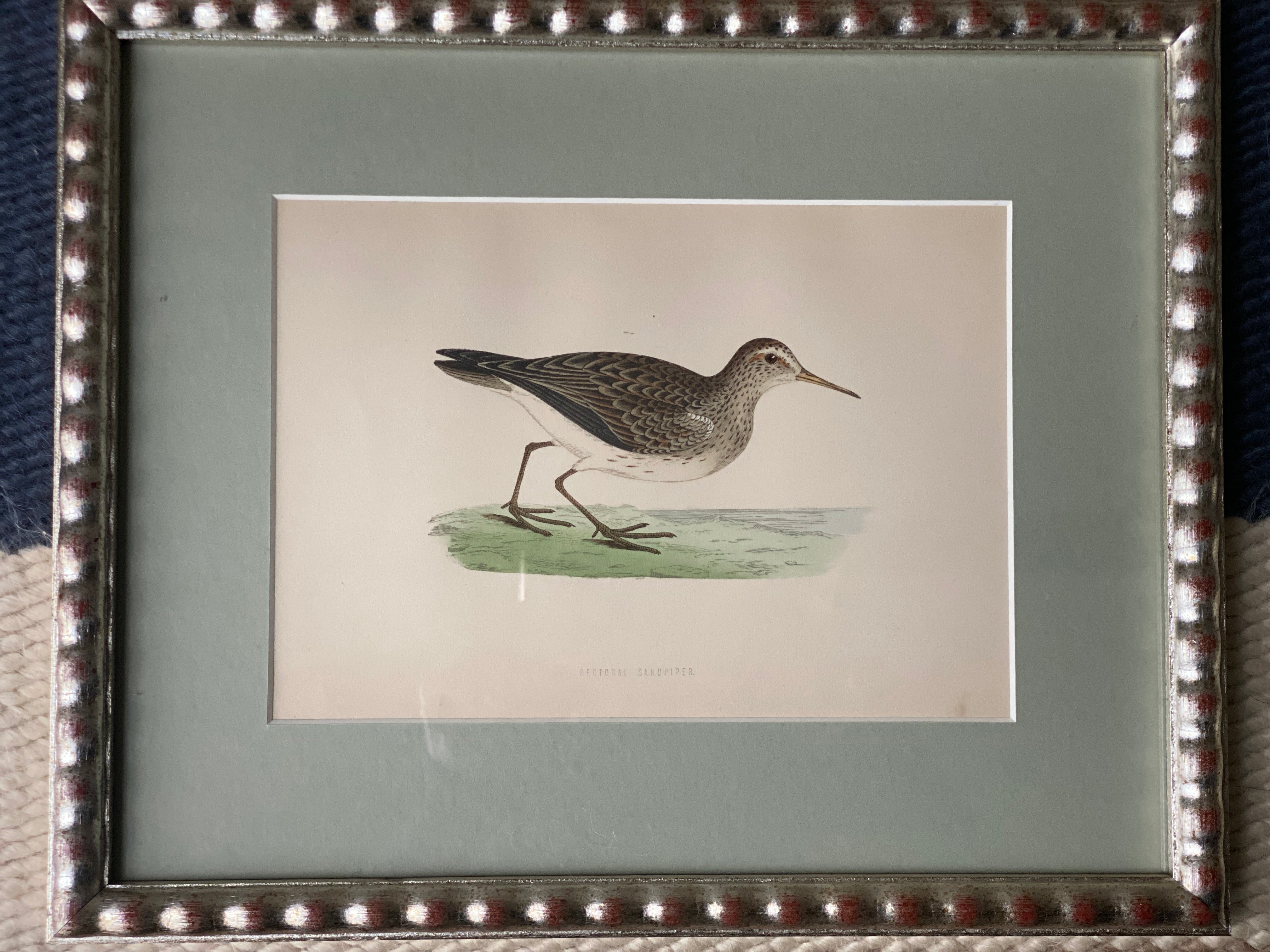 Hand Painted Watercolours Birds in Bobbin Frames