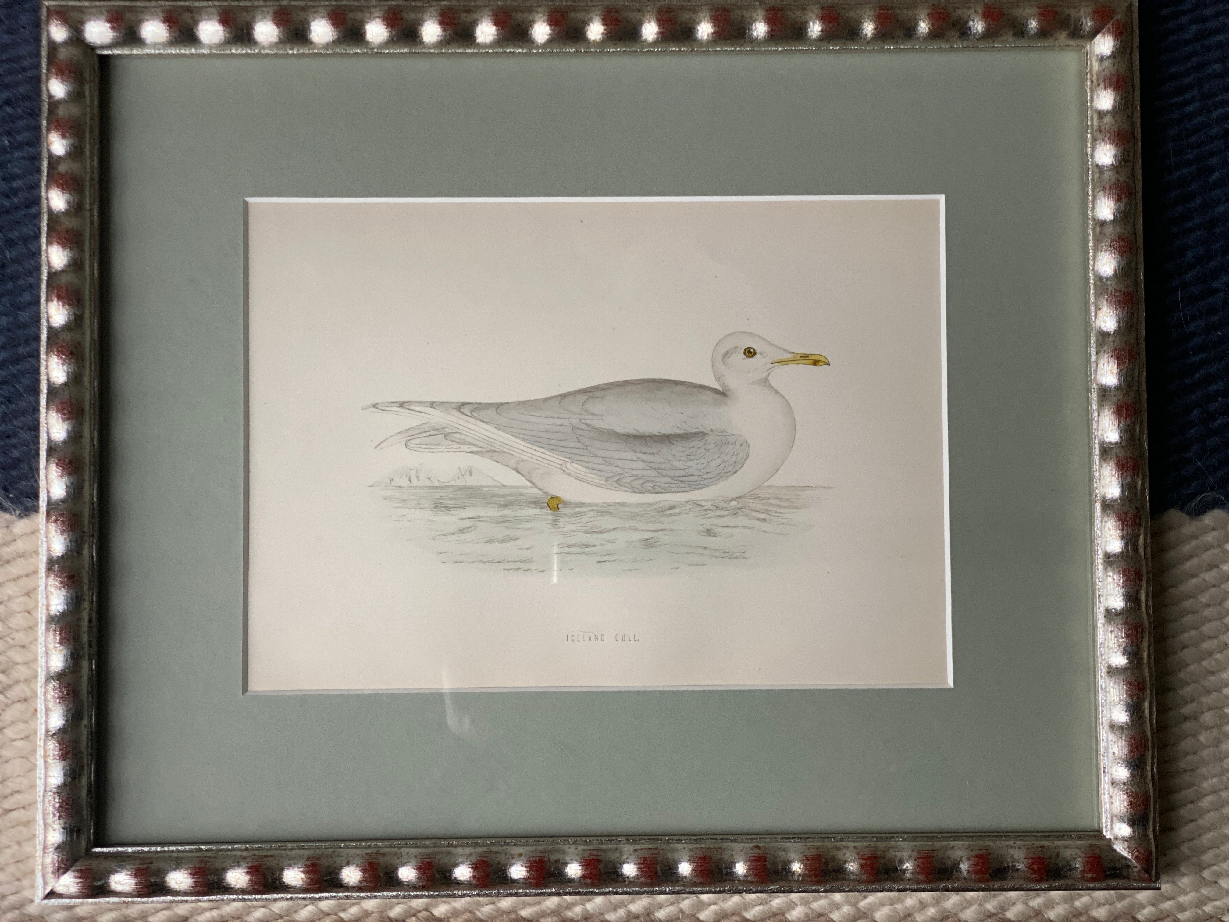 Hand Painted Watercolours Birds in Bobbin Frames