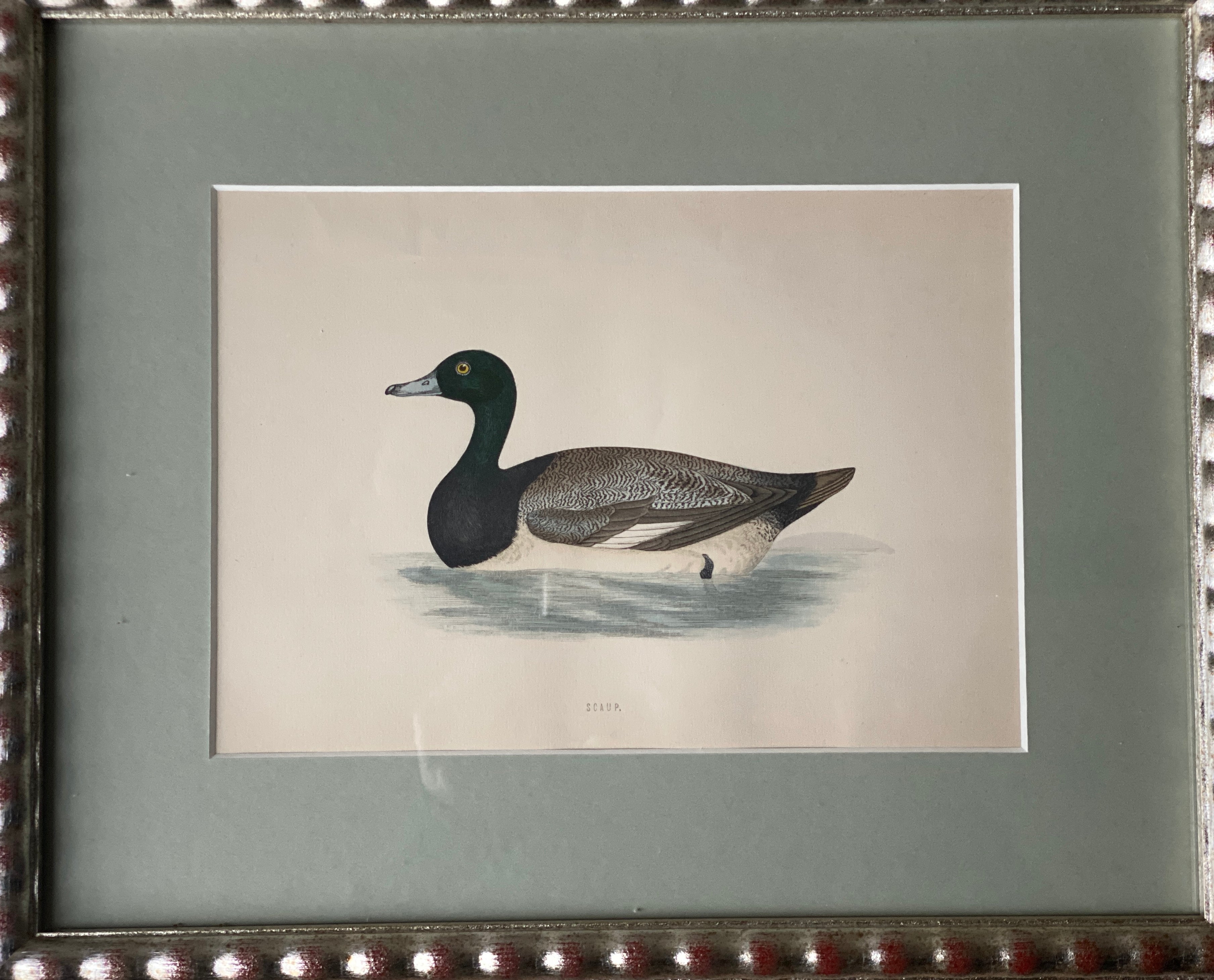 Hand Painted Watercolours Birds in Bobbin Frames