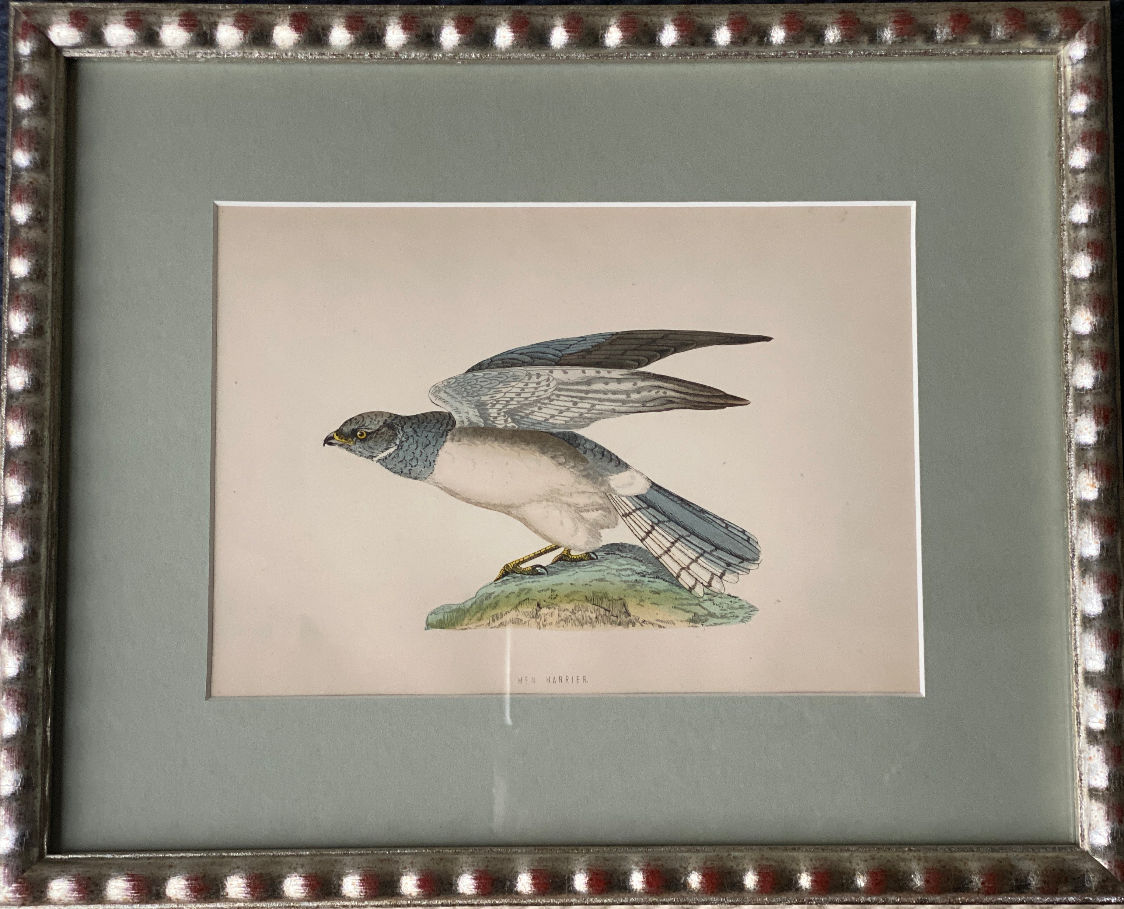 Hand Painted Watercolours Birds in Bobbin Frames