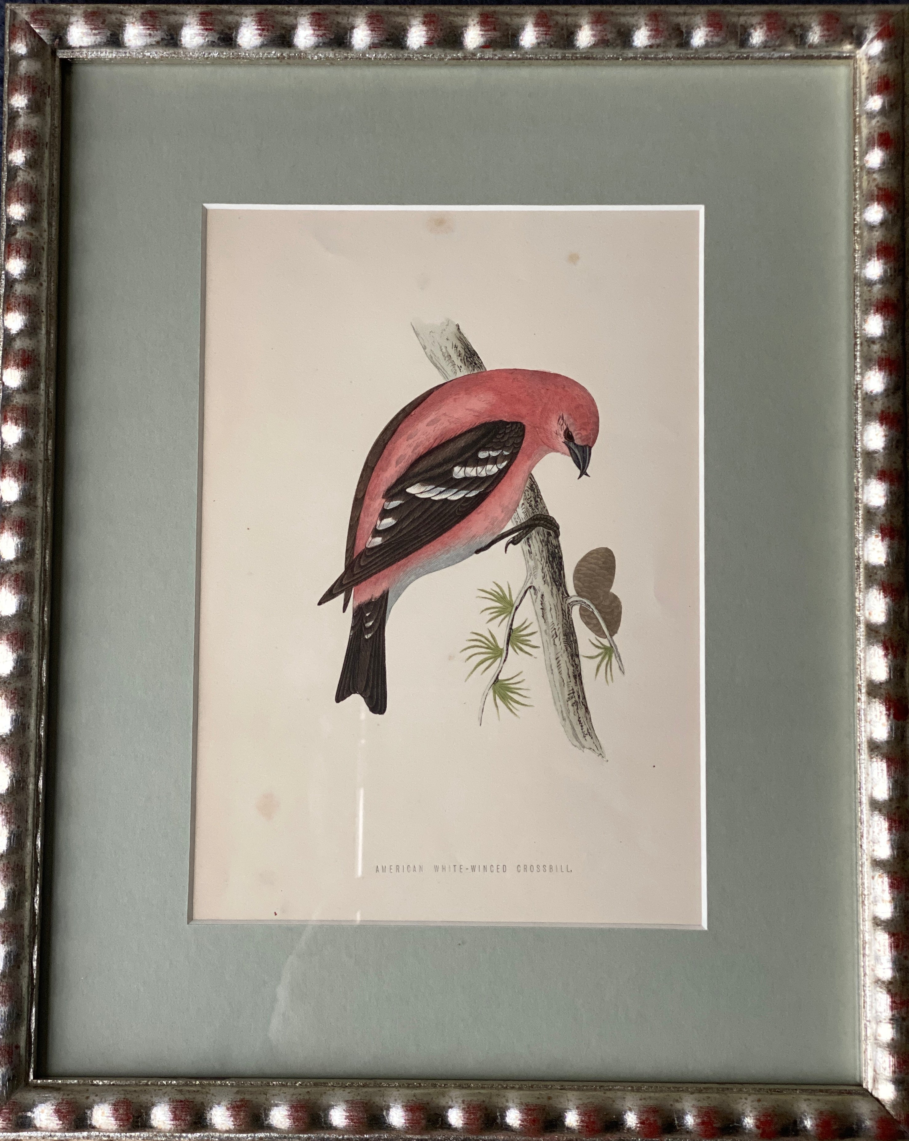 Hand Painted Watercolours Birds in Bobbin Frames