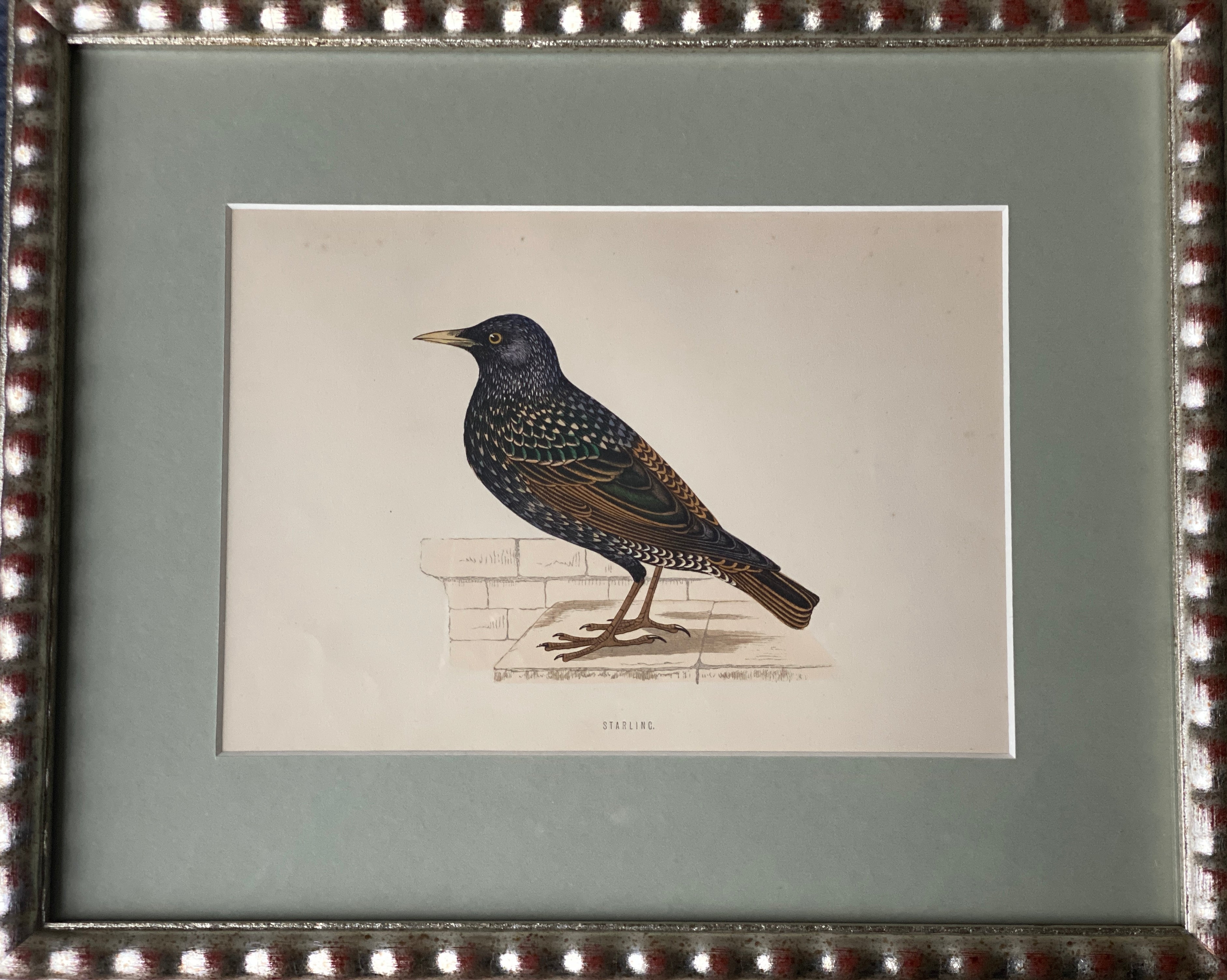 Hand Painted Watercolours Birds in Bobbin Frames