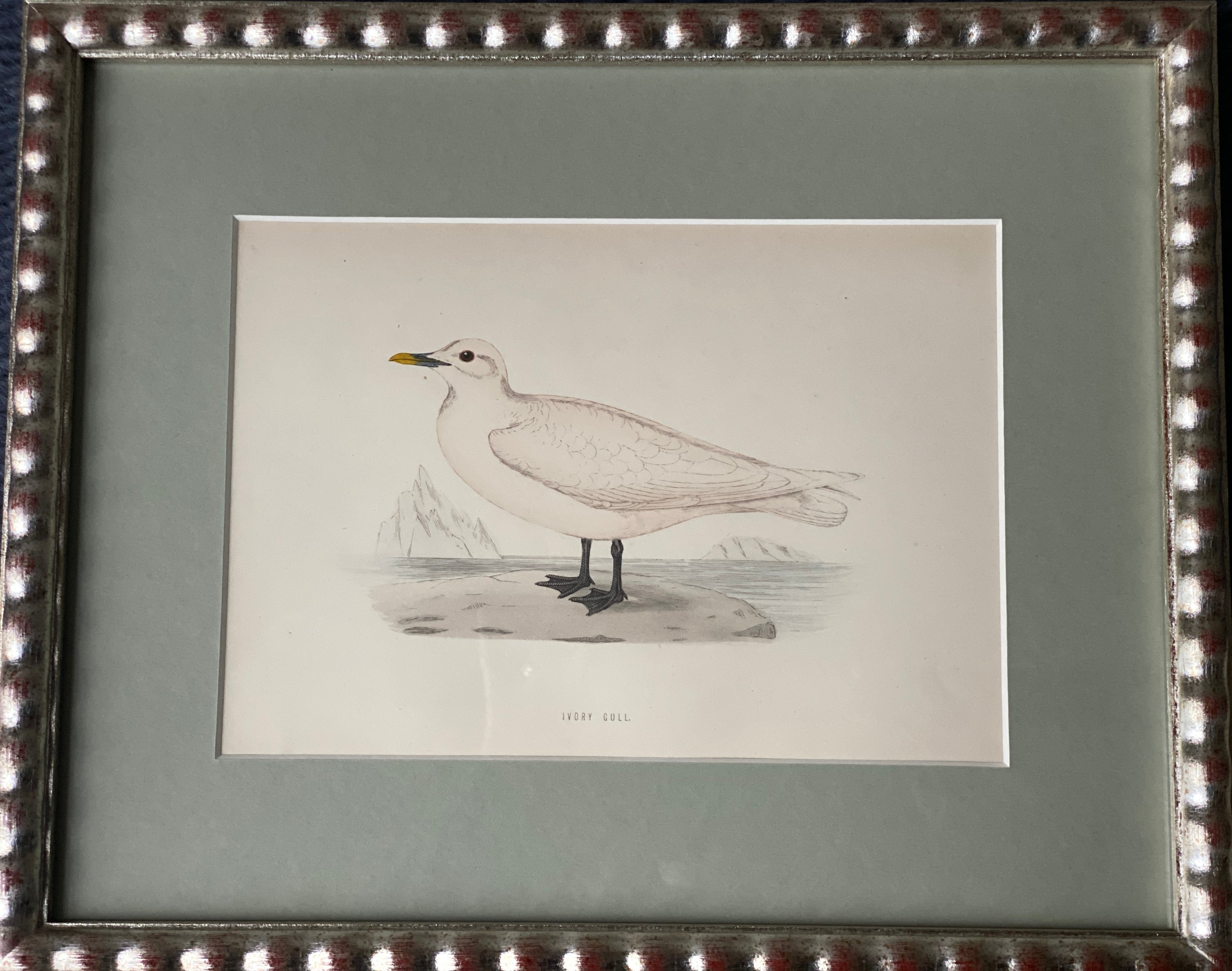 Hand Painted Watercolours Birds in Bobbin Frames