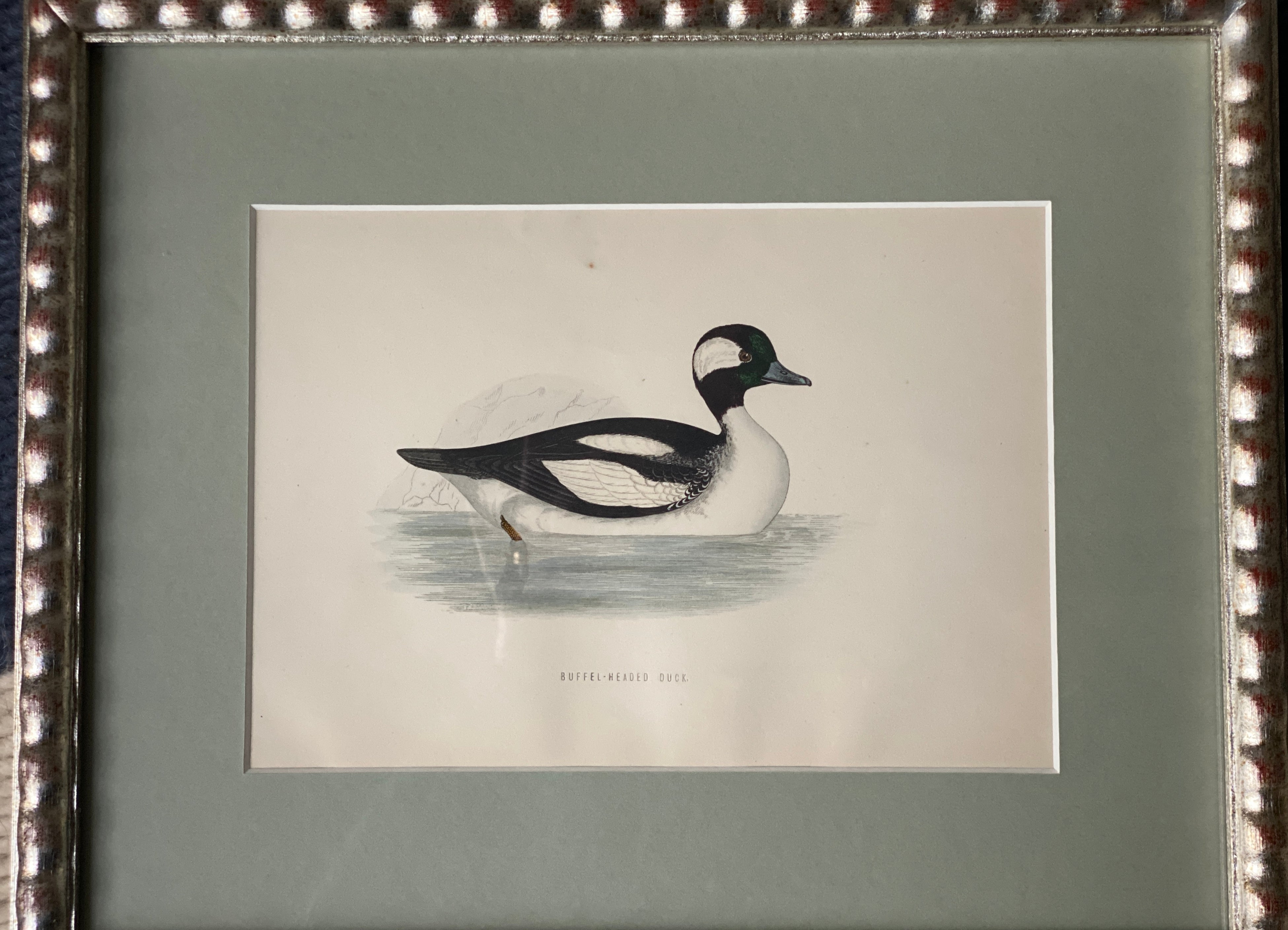 Hand Painted Watercolours Birds in Bobbin Frames