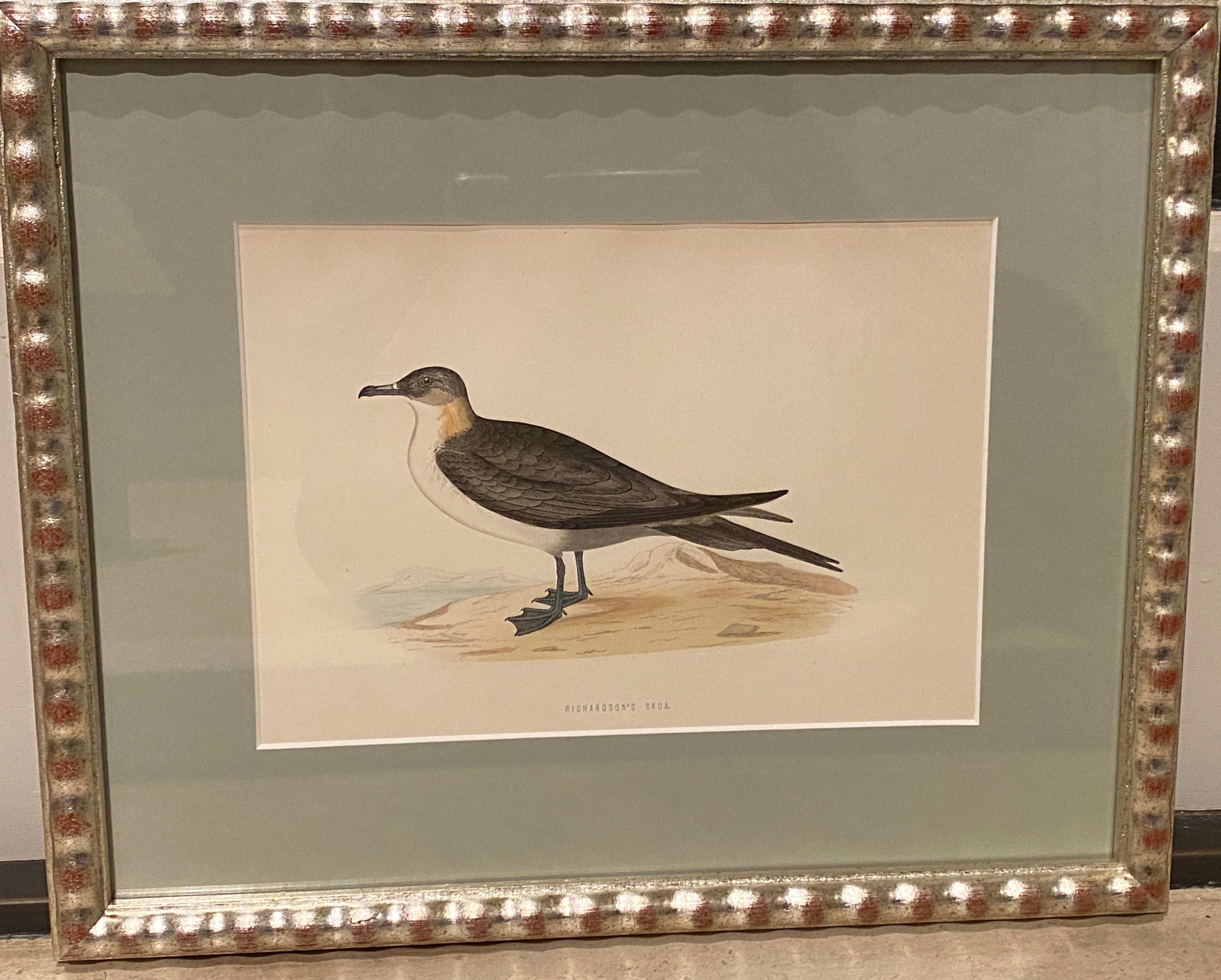 Hand Painted Watercolours Birds in Bobbin Frames