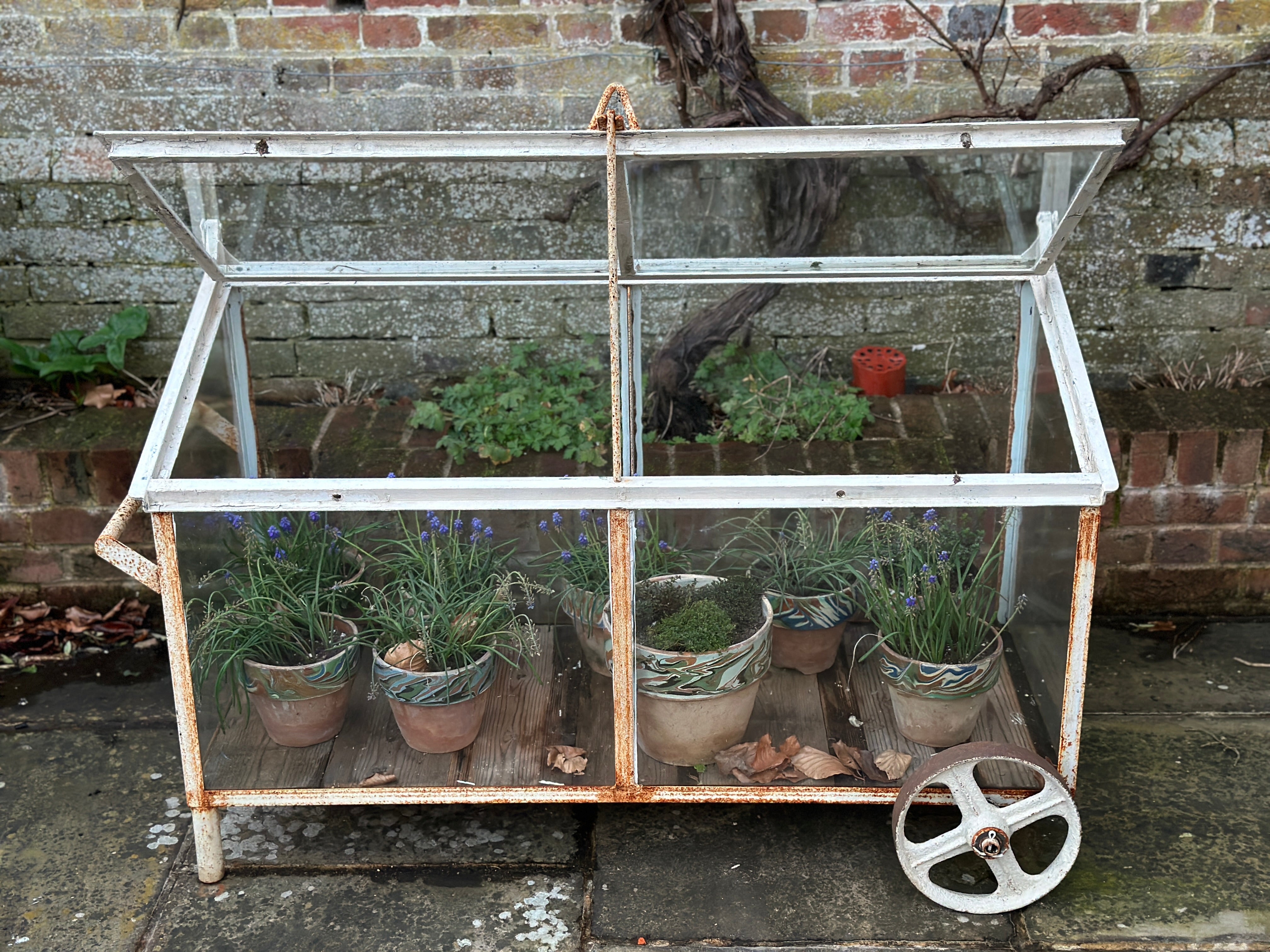 130cm W Vintage Crittall Glass Cold Frame on Wheels