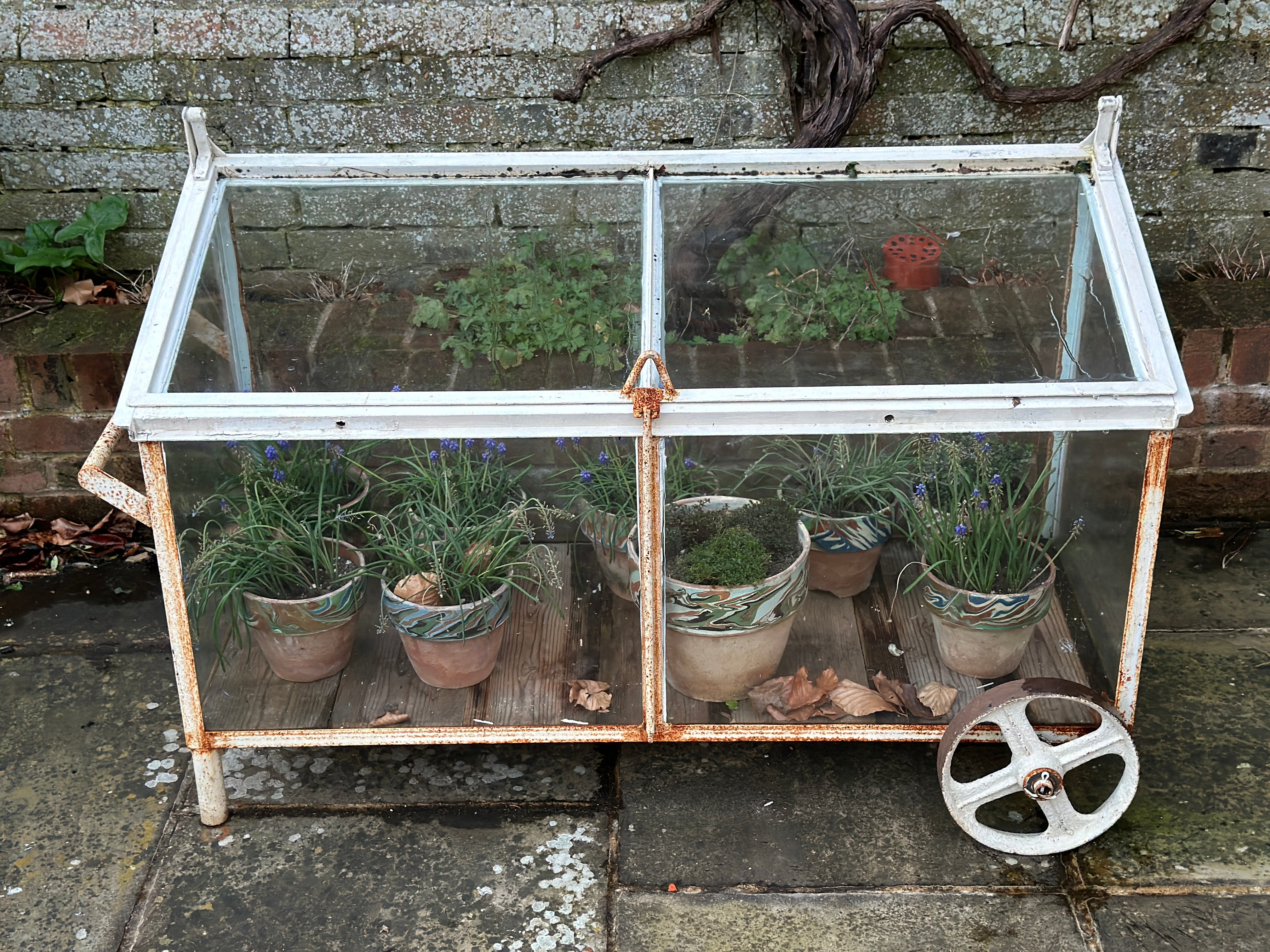 130cm W Vintage Crittall Glass Cold Frame on Wheels