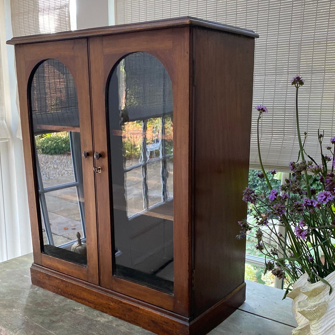 Small Glazed Wall or Standing Cupboard