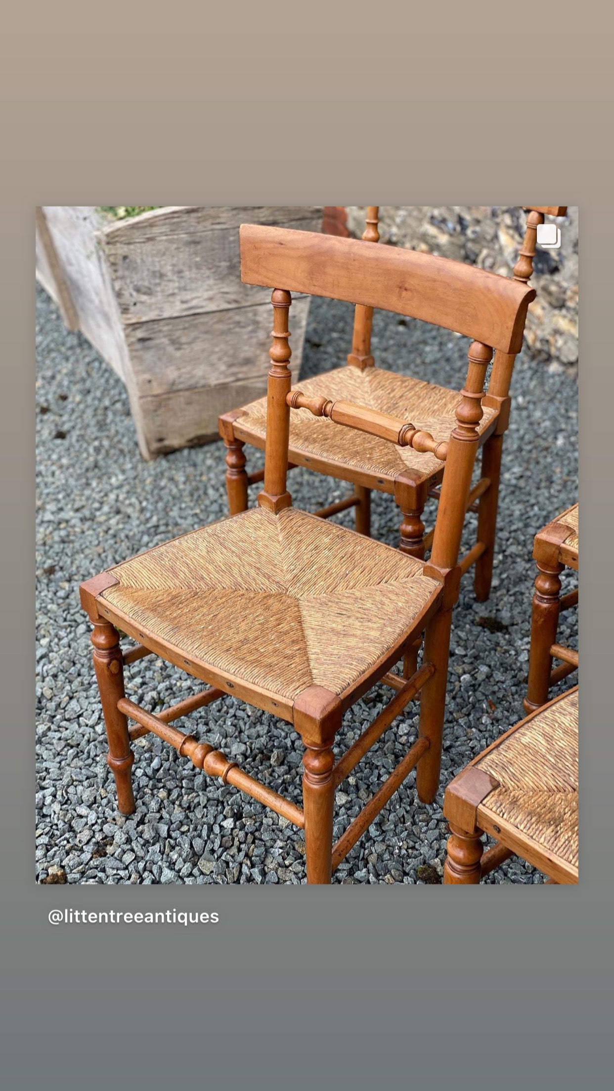 Charming Set of 4 Fruitwood and Rush Seat Chairs