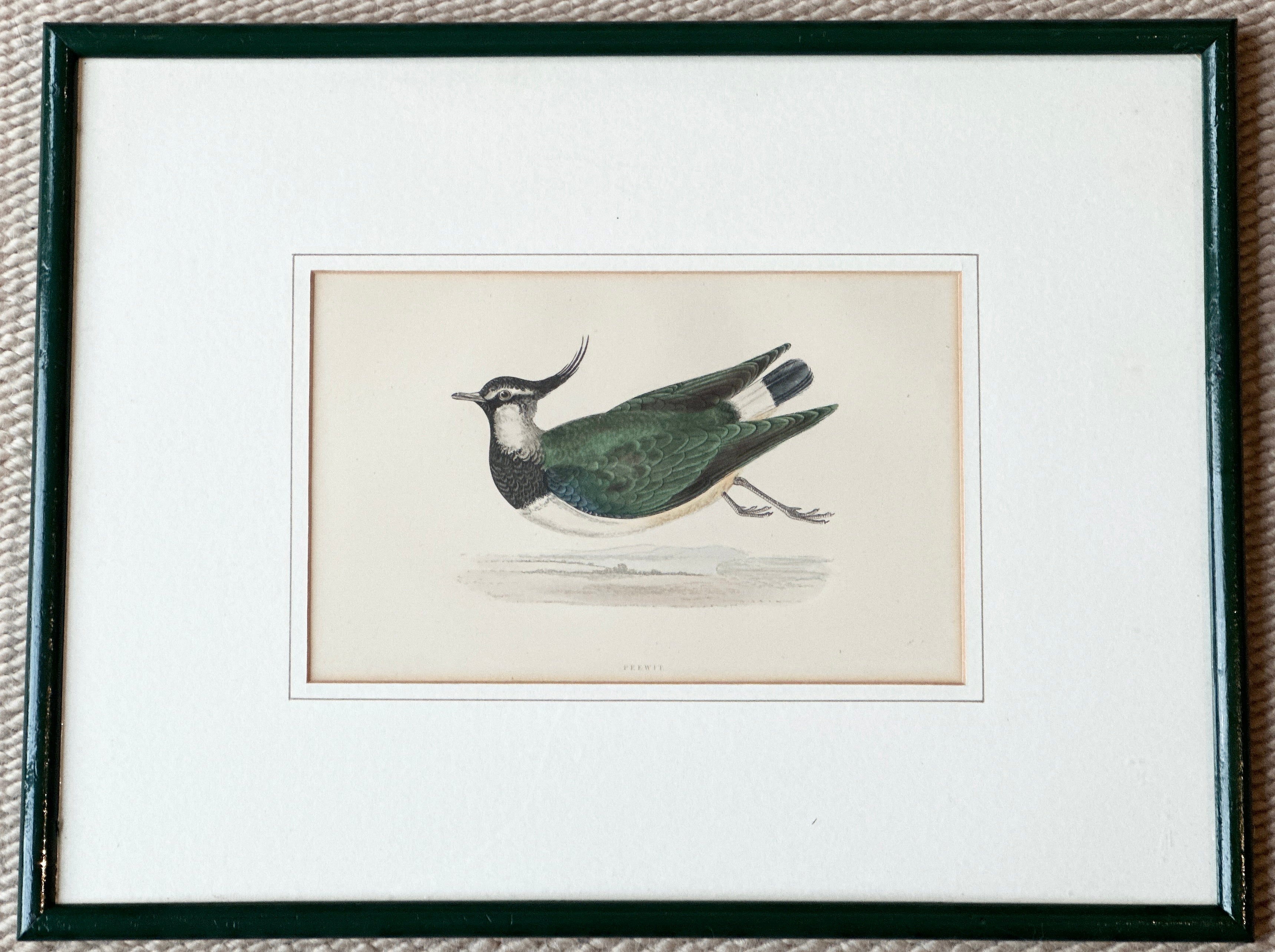 Pair of Hand Painted Birds in Dark Green Frames