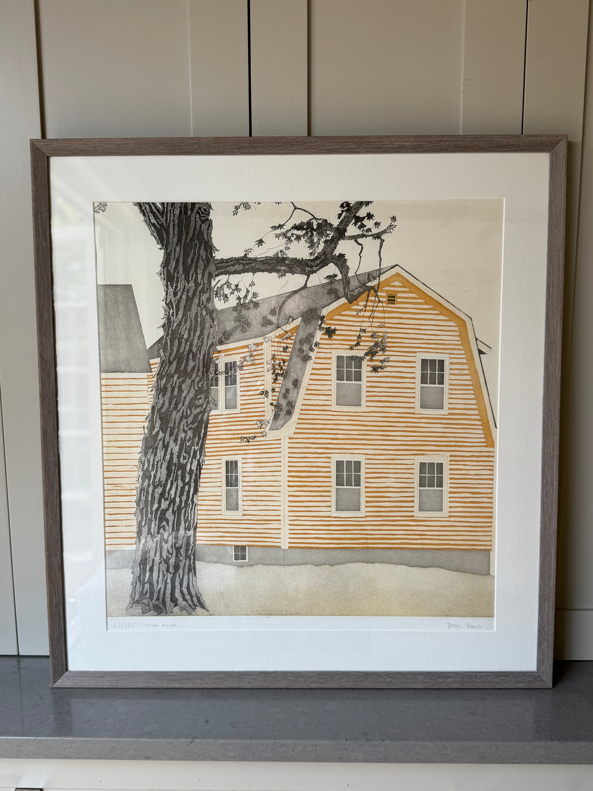 Silver Maple — Tessa Beaver Framed
