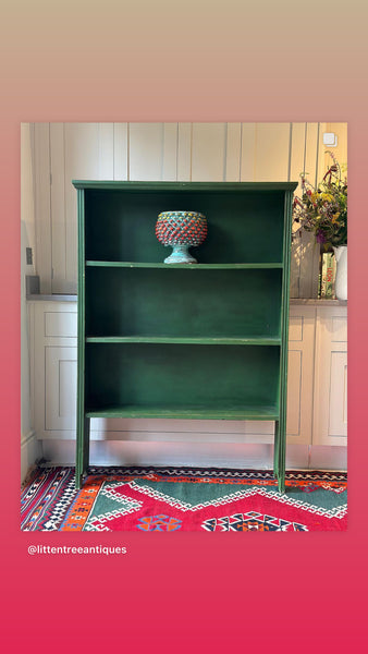 Vintage Green shelves