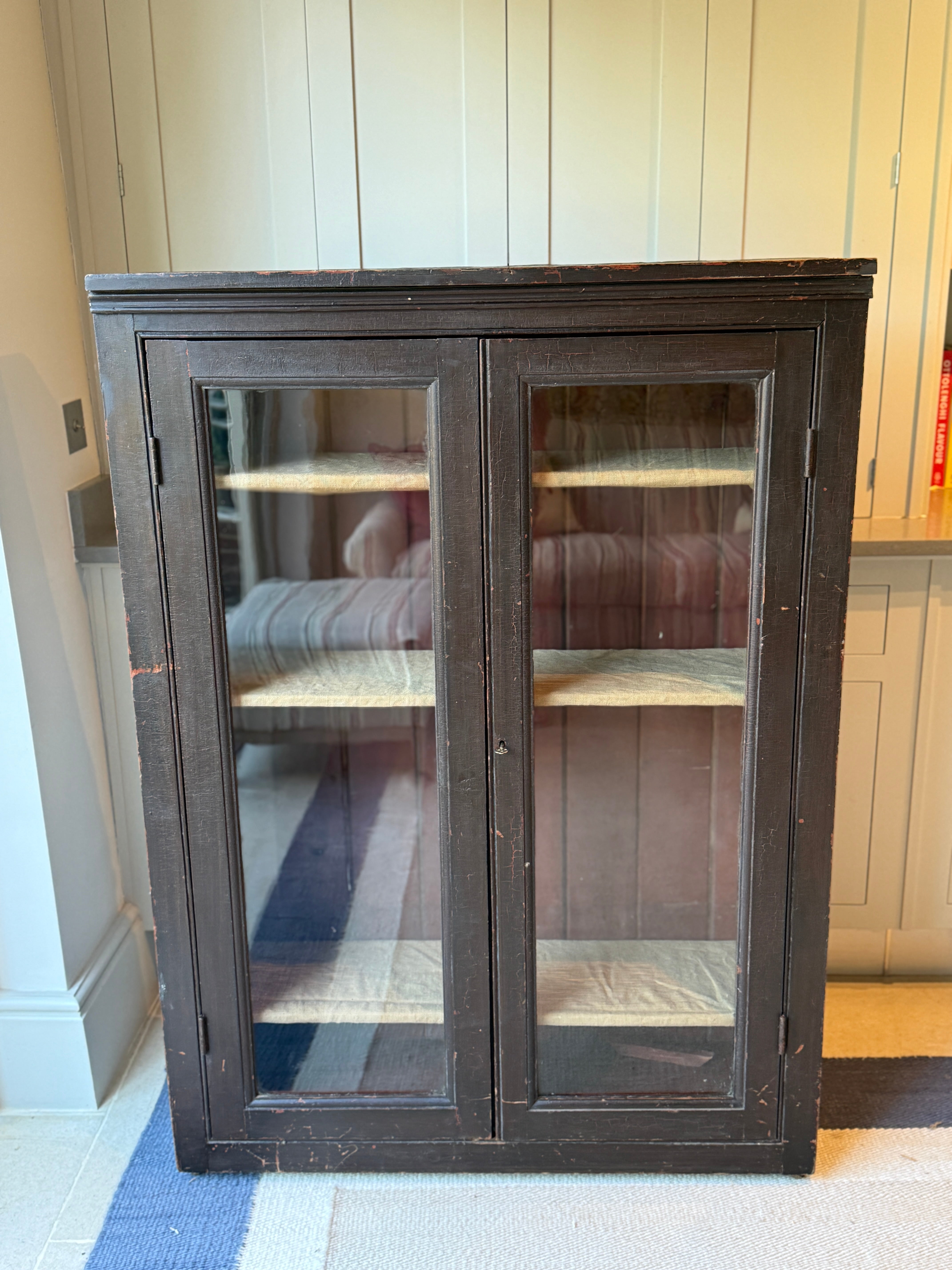 Antique Painted Pine Glazed Cabinet