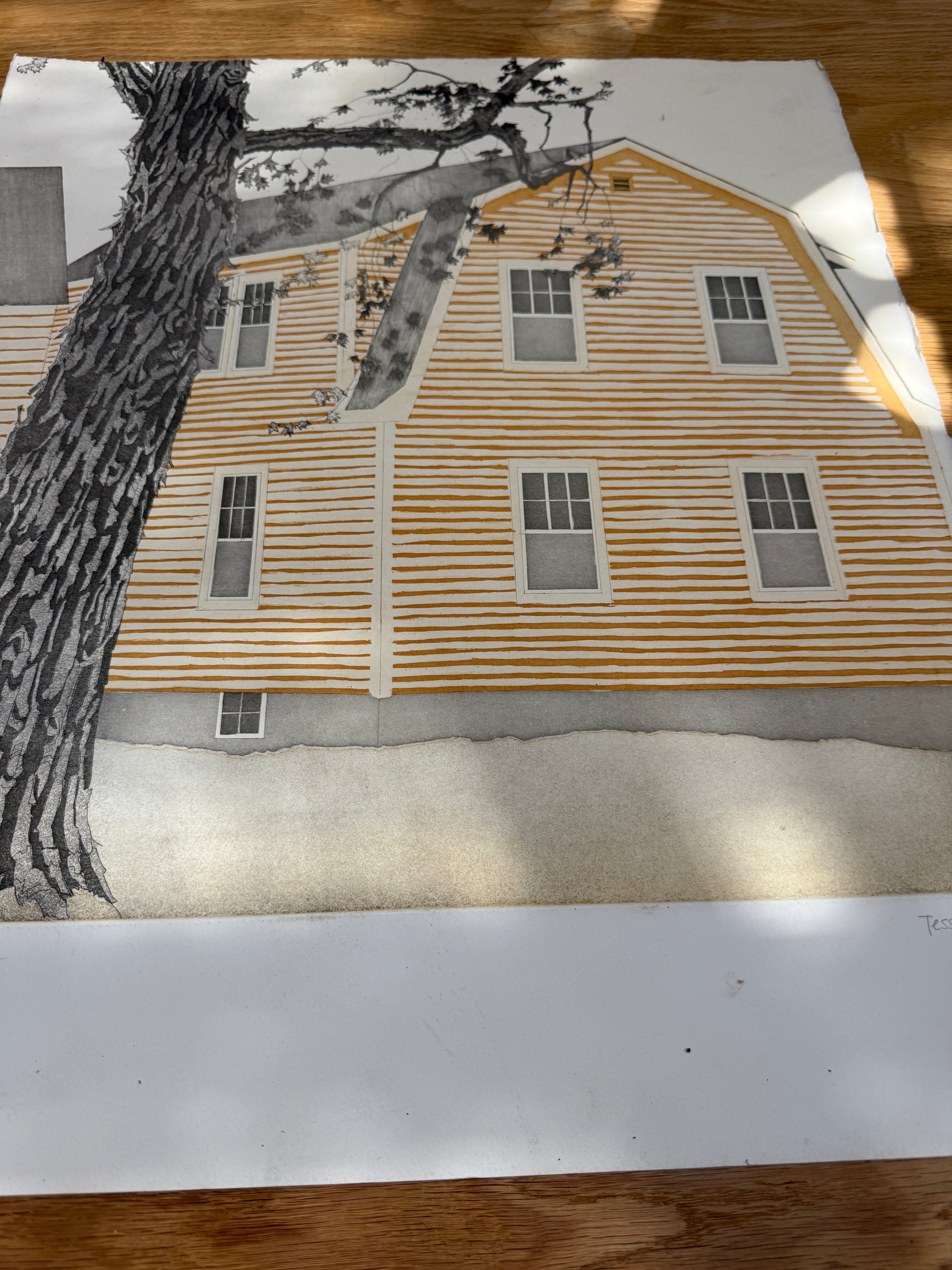 Silver Maple — Tessa Beaver (unframed)