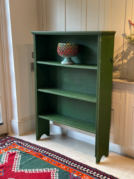 Vintage Green shelves