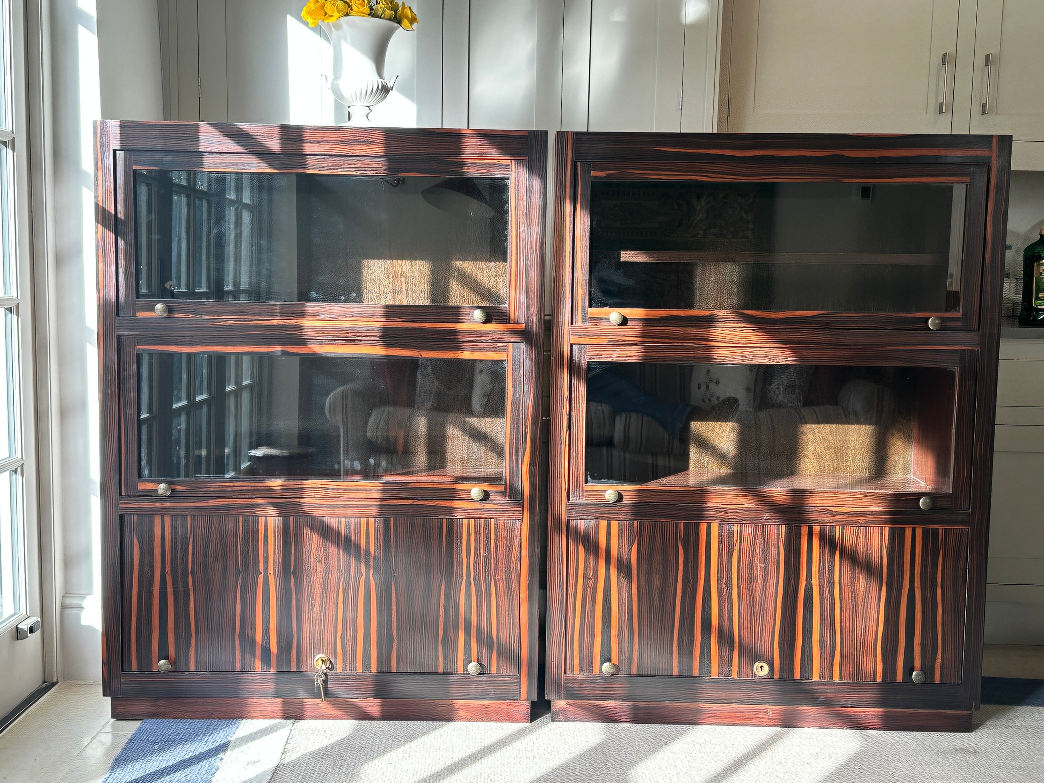 Pair of Early 20th Century Macassar Bookcases