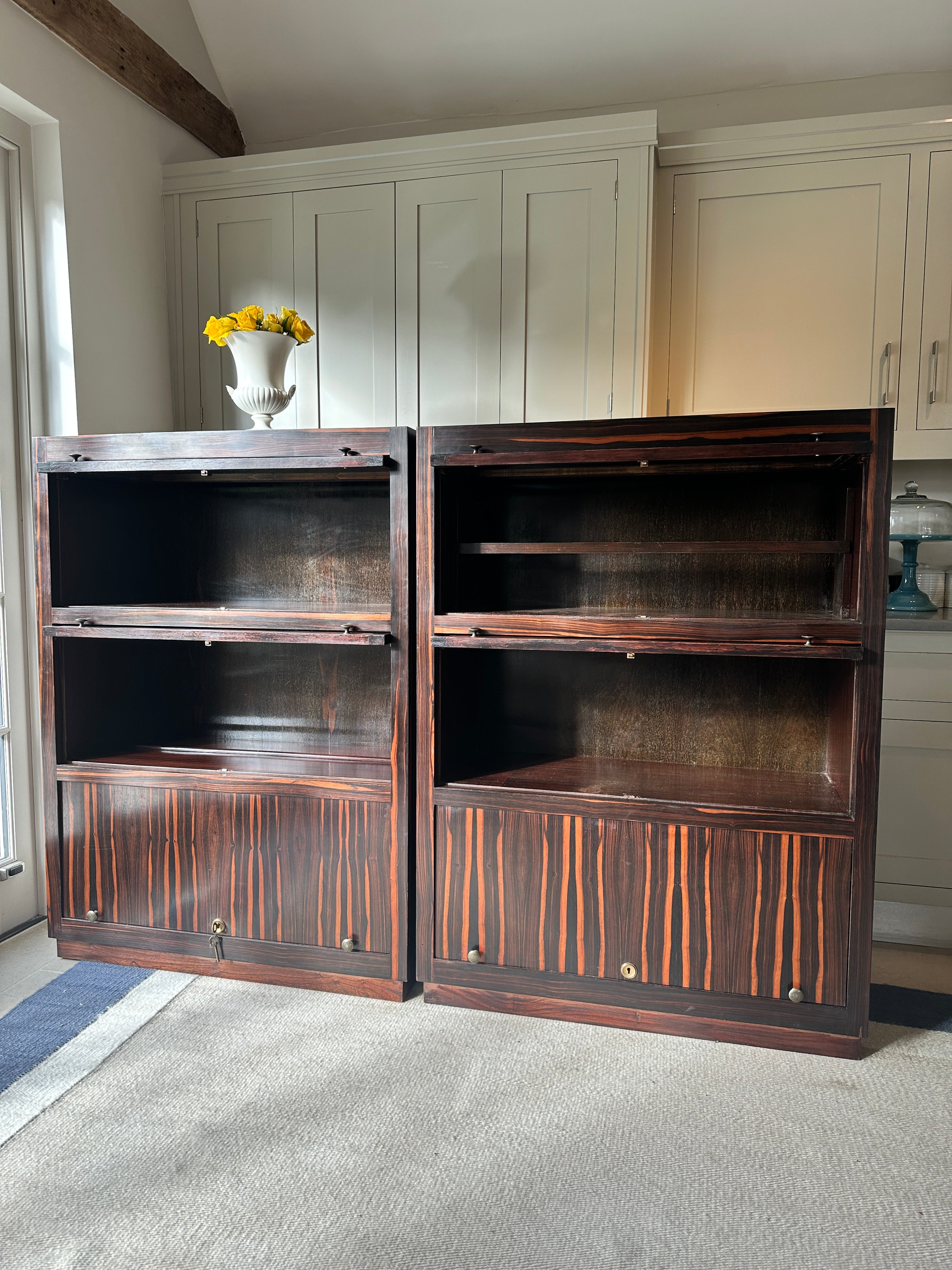 Pair of Early 20th Century Macassar Bookcases