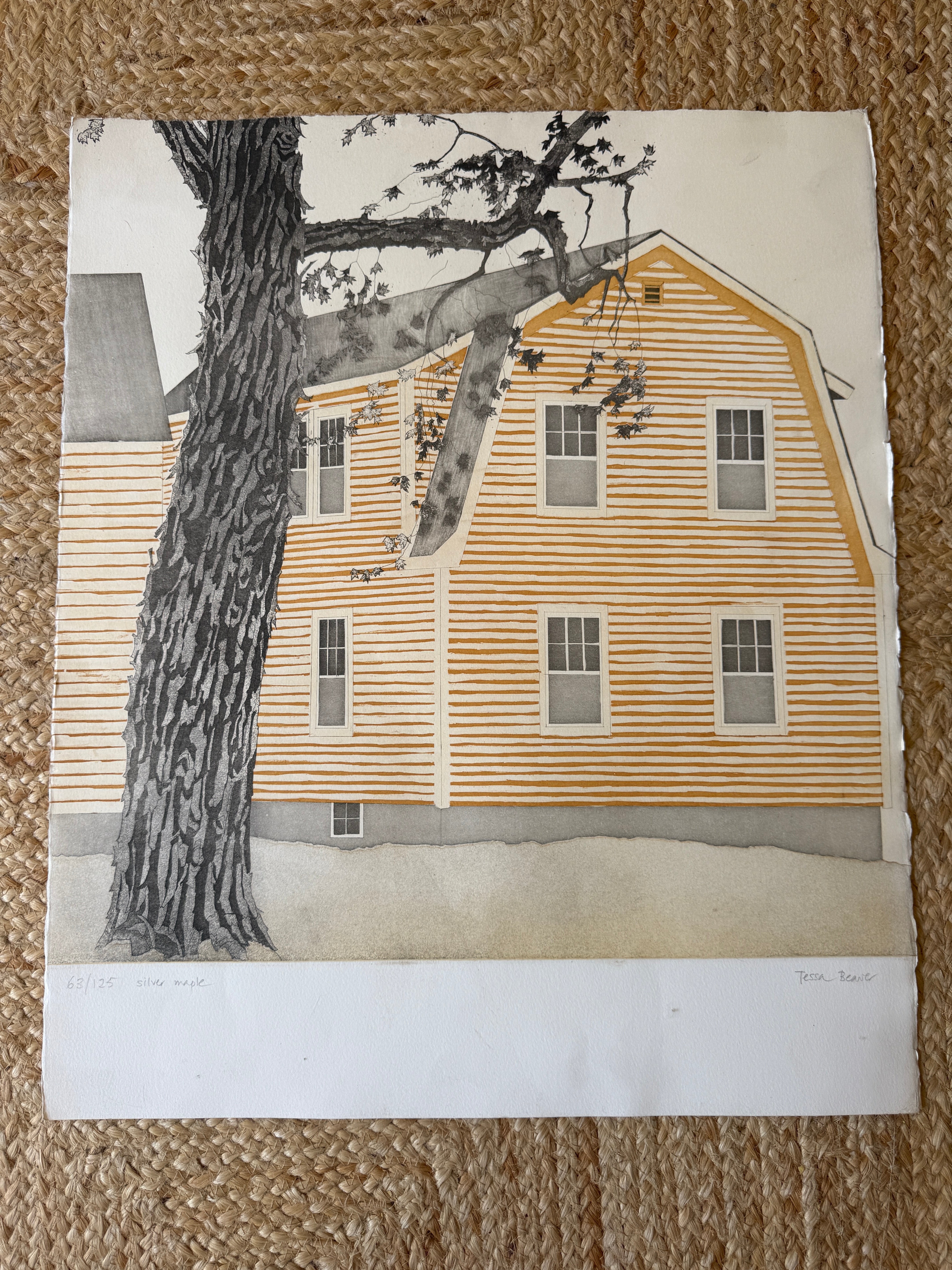 Silver Maple — Tessa Beaver (unframed)