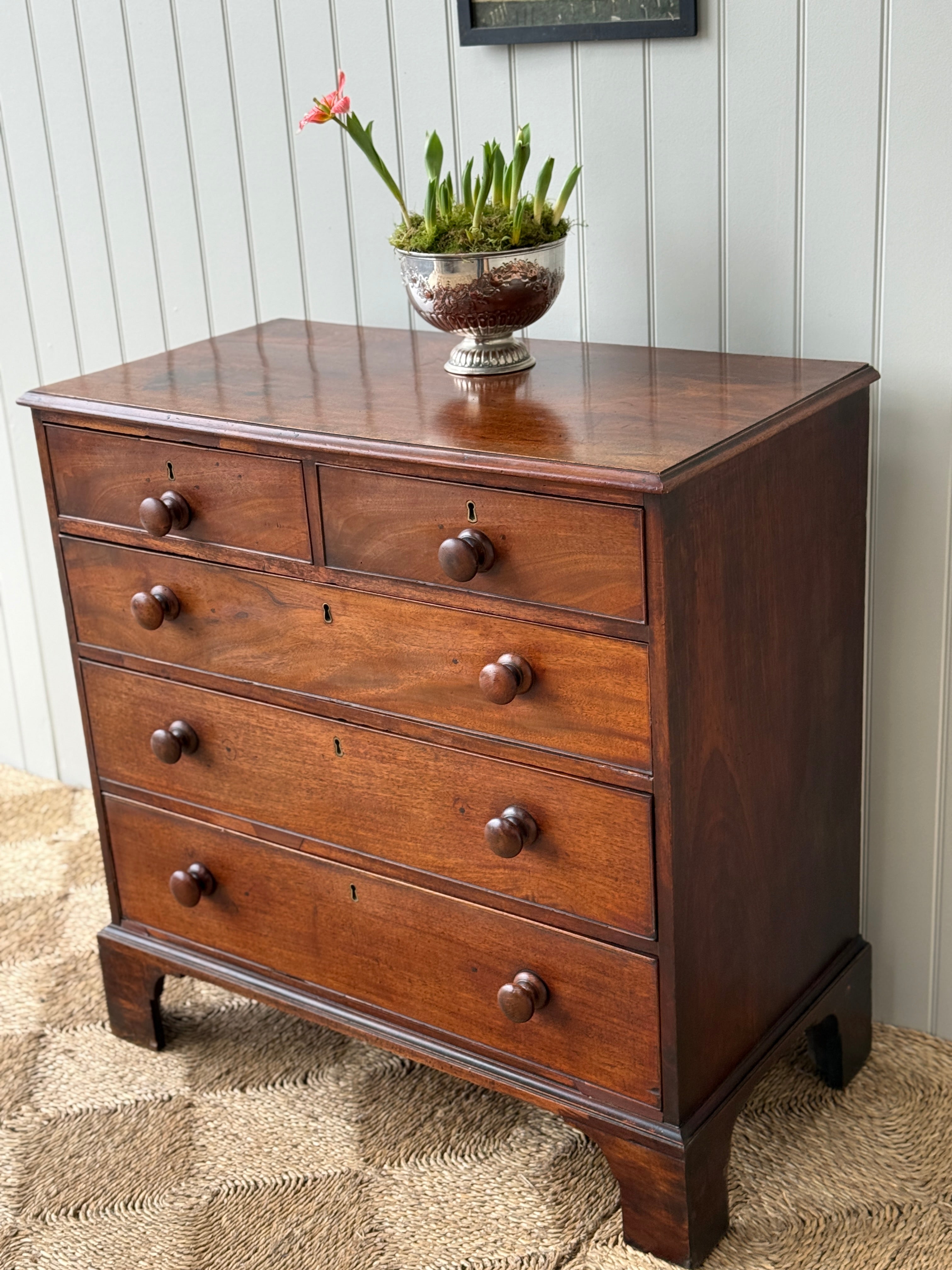 Small 19th Century Mahogany Chest of Drawers