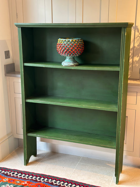 Vintage Green shelves