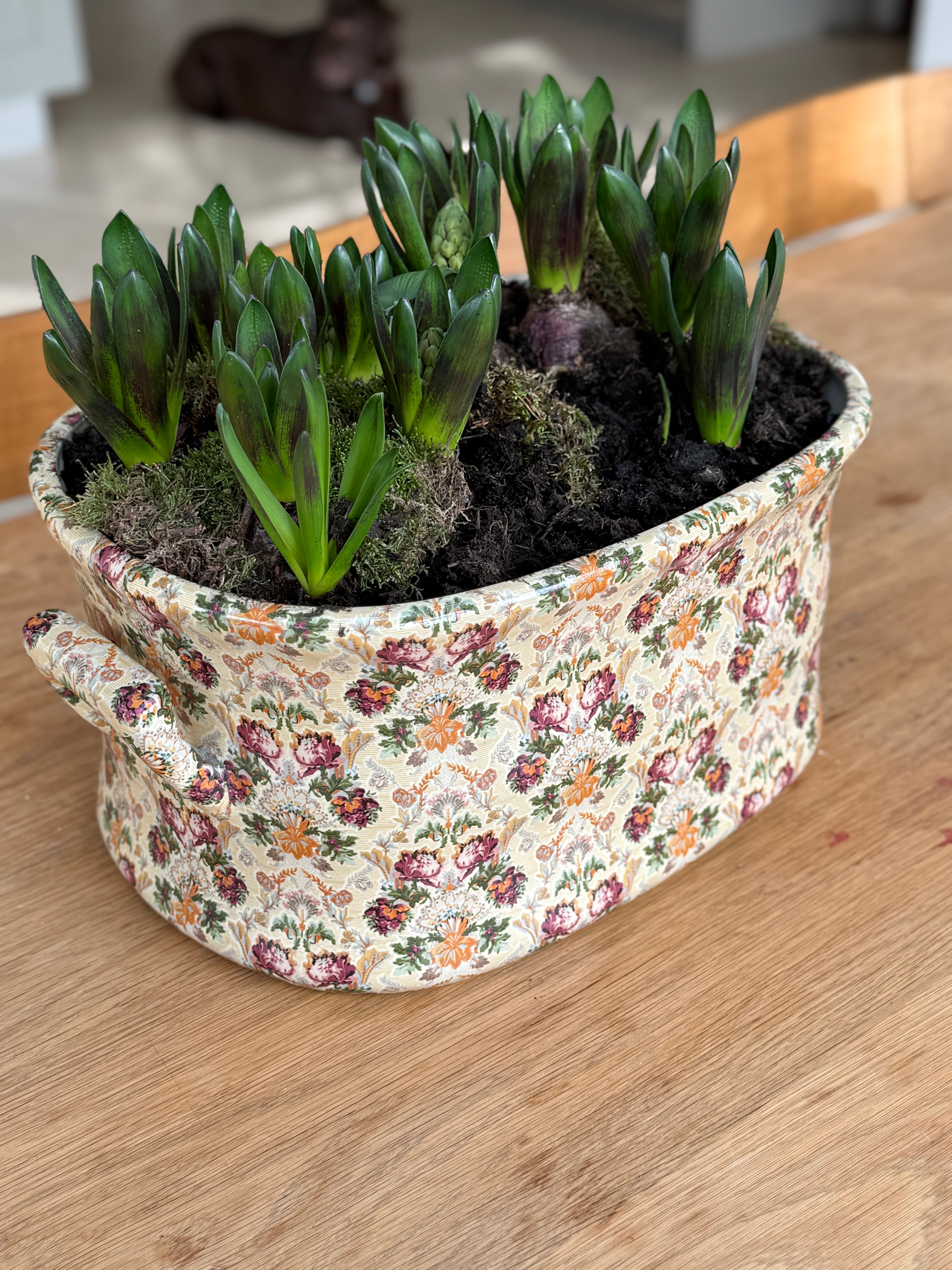 Polychrome Victorian Foot Bath