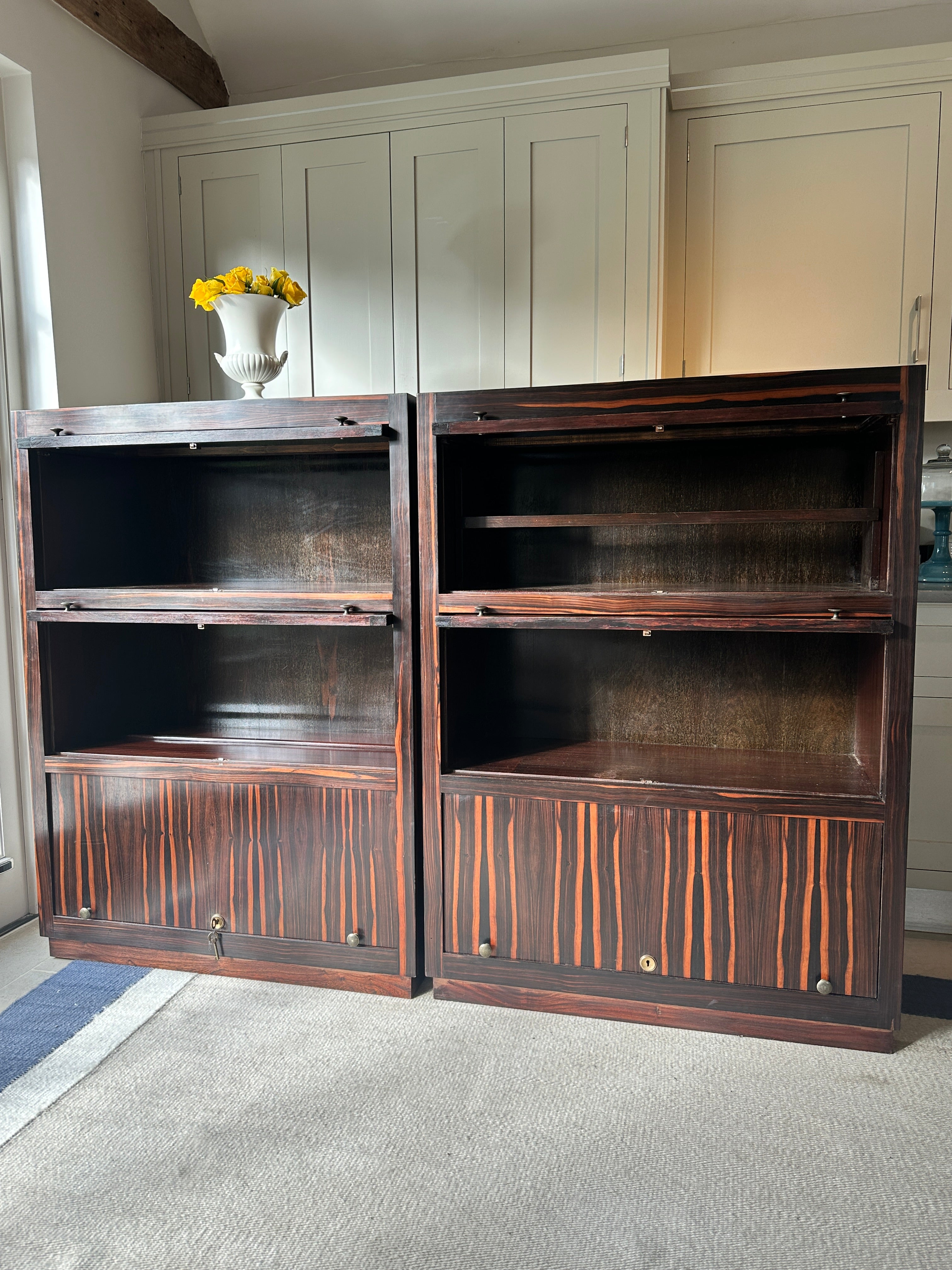 Pair of Early 20th Century Macassar Bookcases